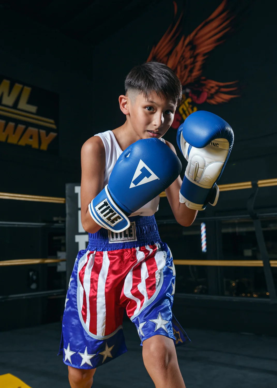 TITLE Boxing USA Trunks 4.0