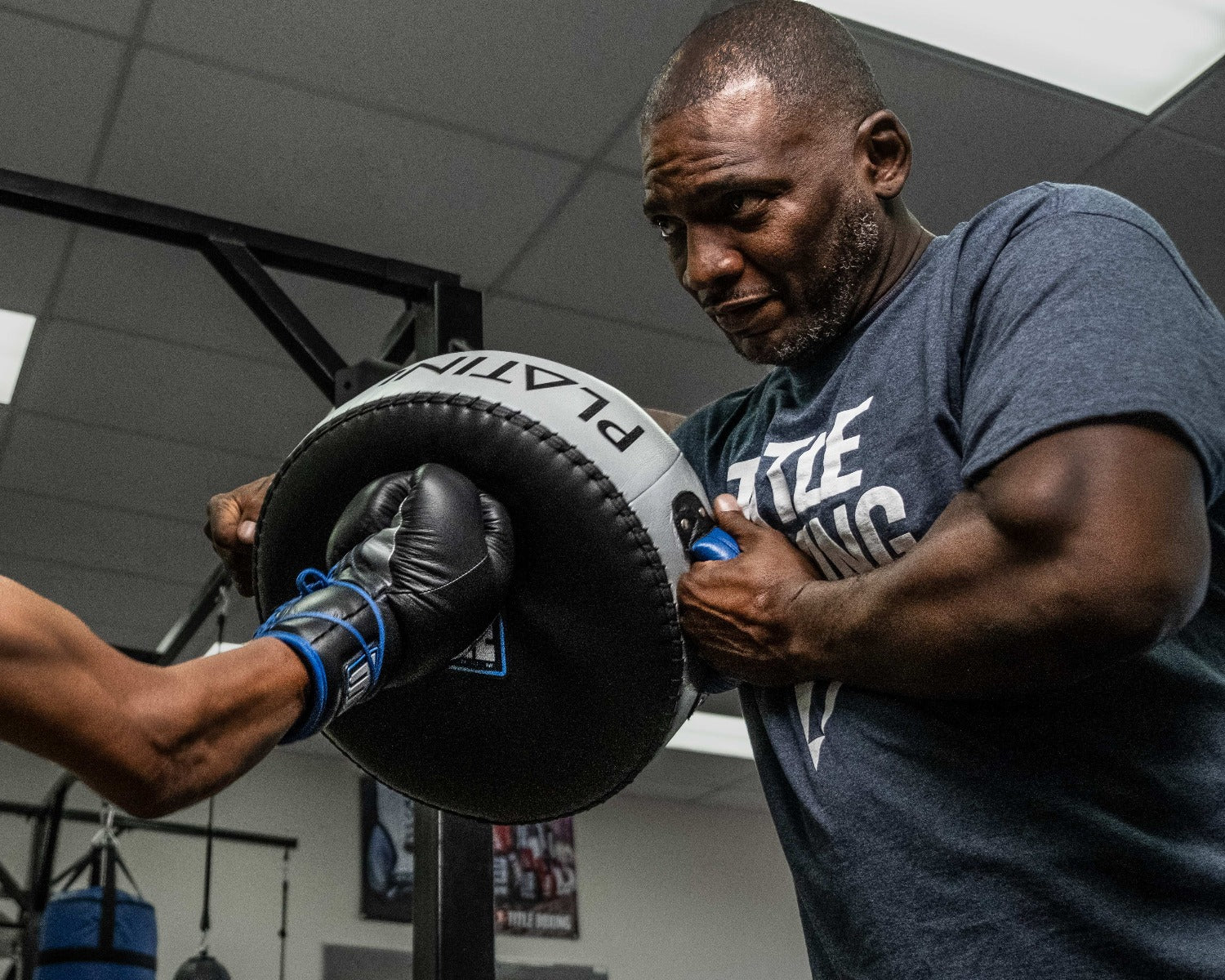 TITLE Platinum Perilous Punch Shield