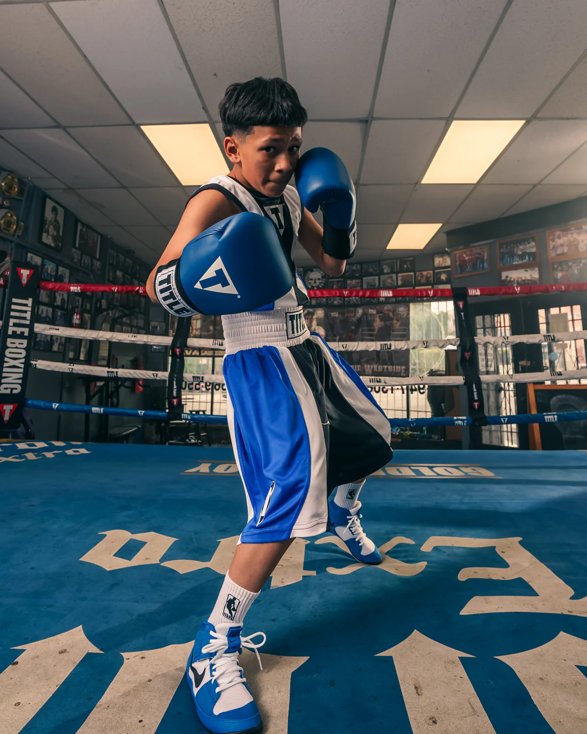 TITLE Boxing USA Boxing Competition Boxing Gloves - Elastic