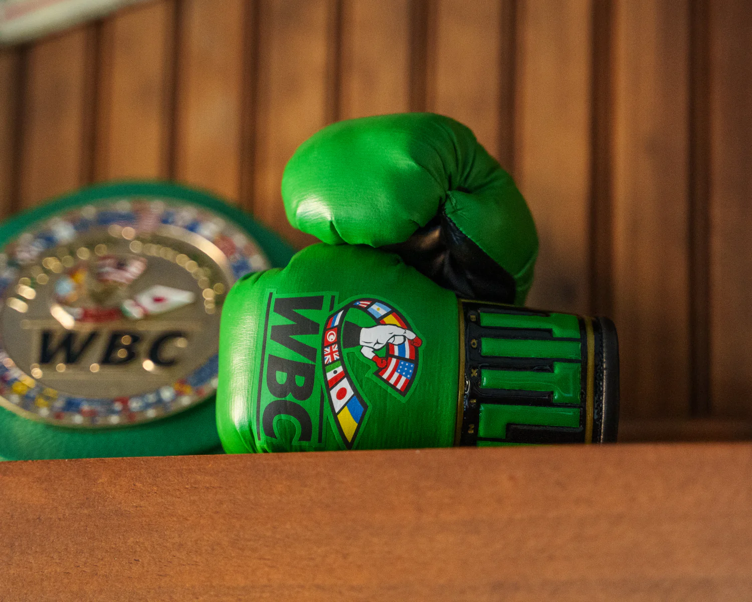 WBC by TITLE Boxing Mini Boxing Gloves