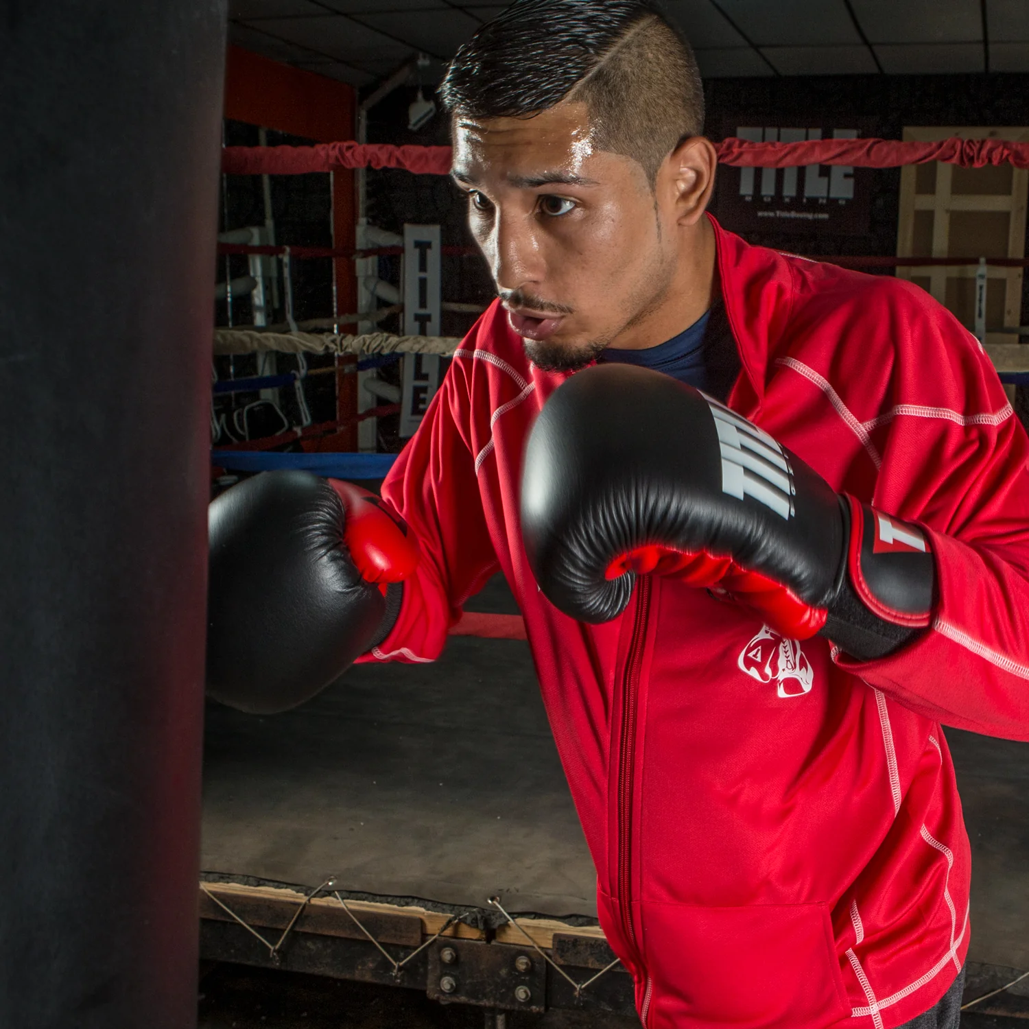 TITLE Boxing Dynamic Strike Heavy Bag Boxing Gloves