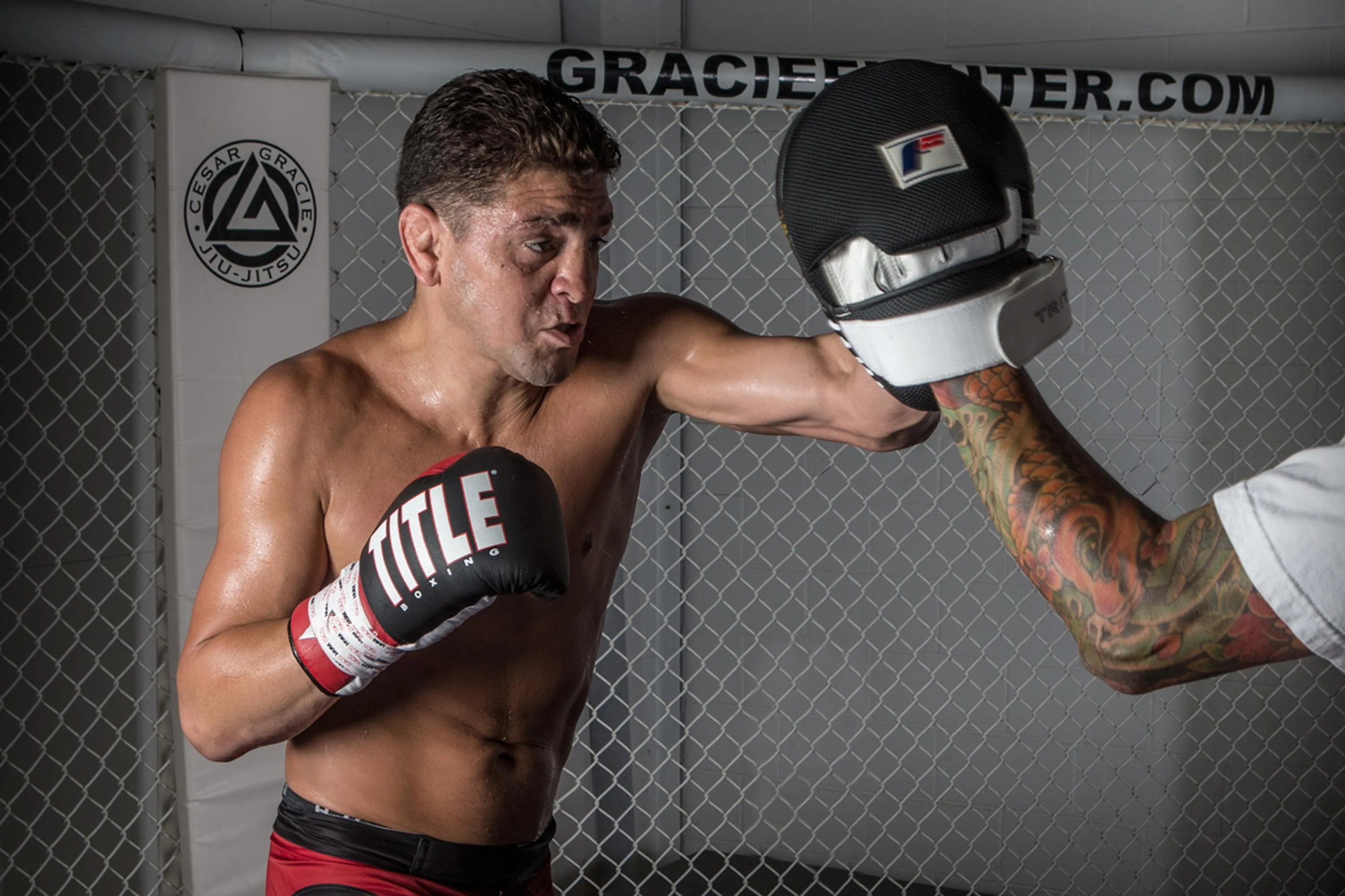 Fighting Tri-Tech Curved Mitts