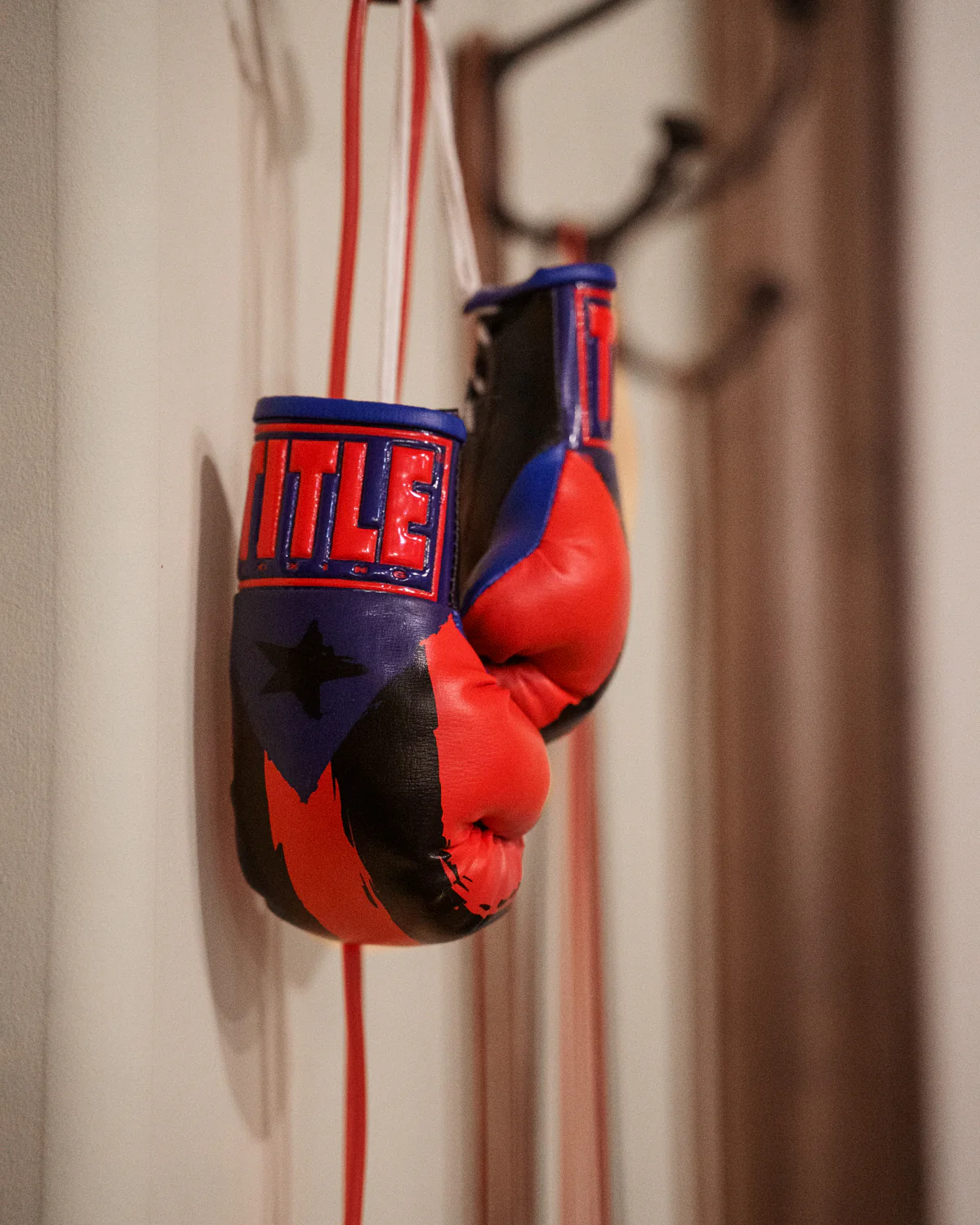 TITLE Boxing Puerto Rico Flag Mini Gloves