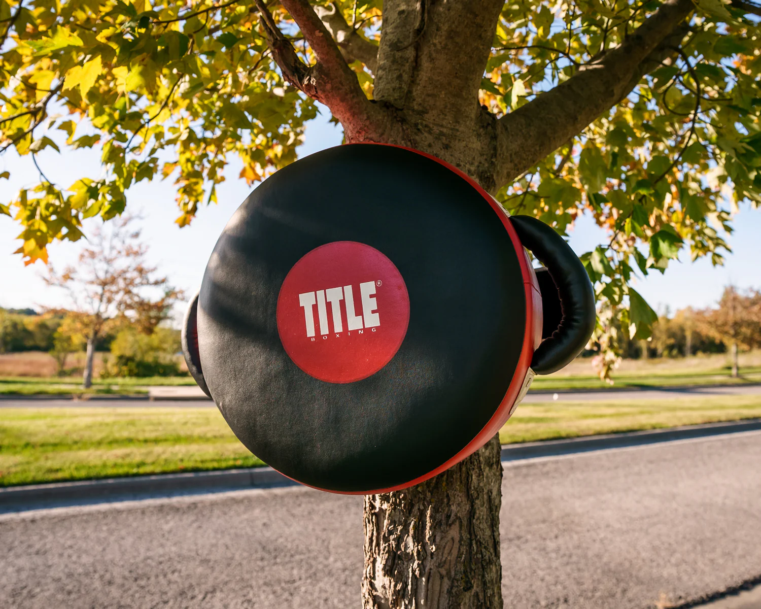 TITLE Boxing Wrap-Around Stationary Punch Shield