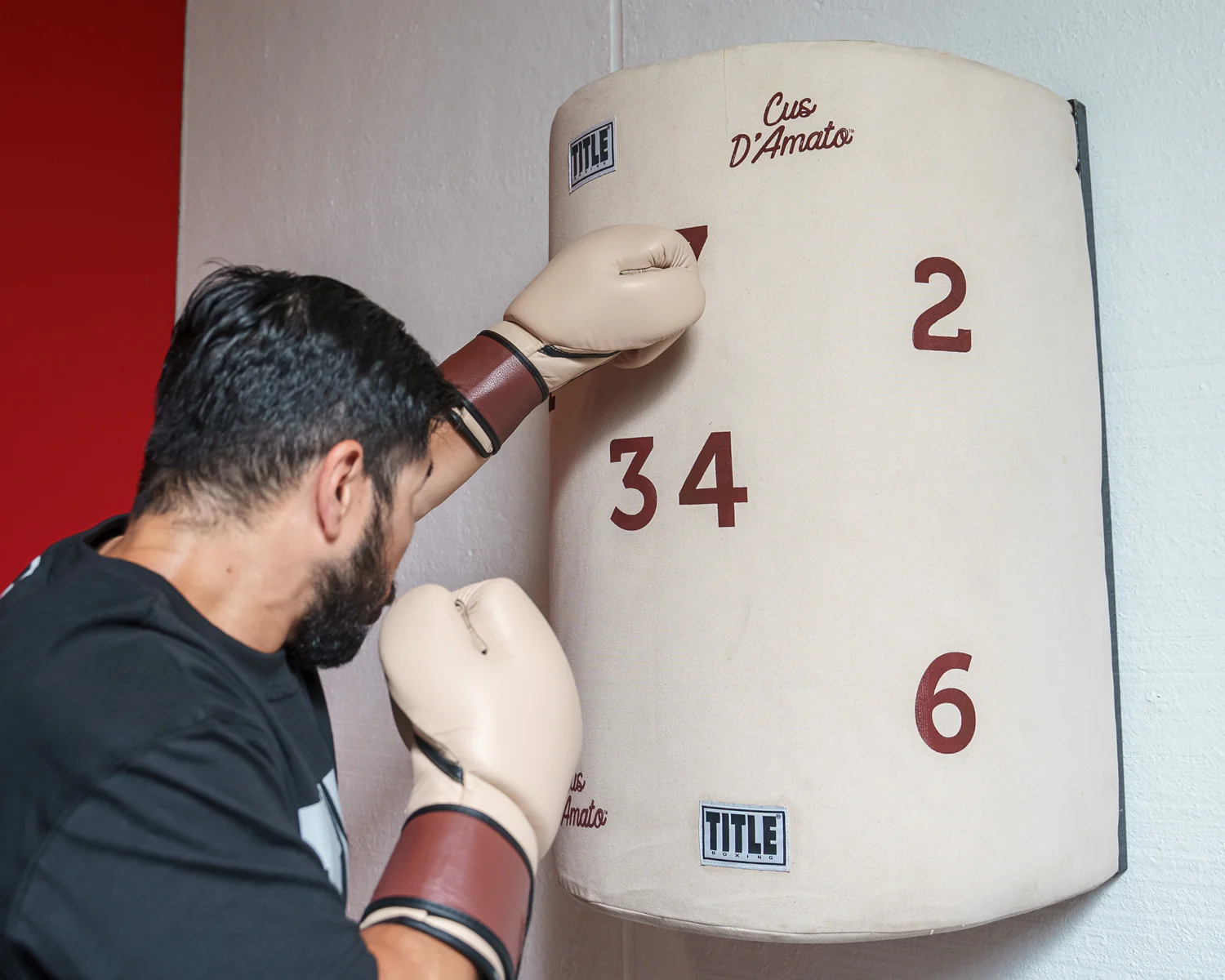 TITLE Boxing Cus D’Amato Willie Heavy Bag