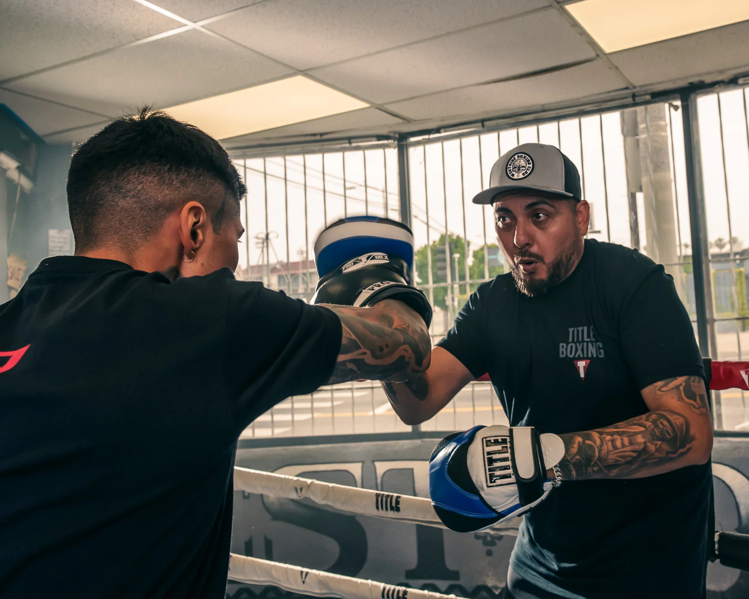 TITLE Boxing Flurry Micro Pro Punch Mitts