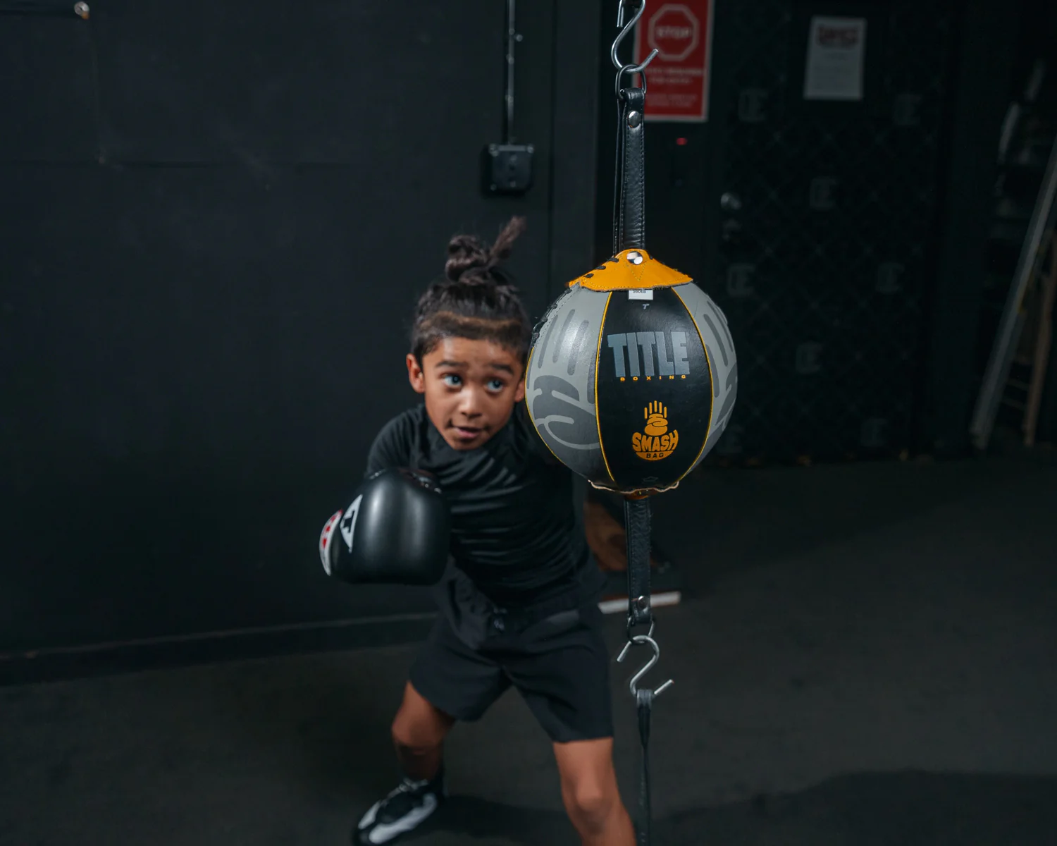 TITLE Boxing Double End Smash Bag