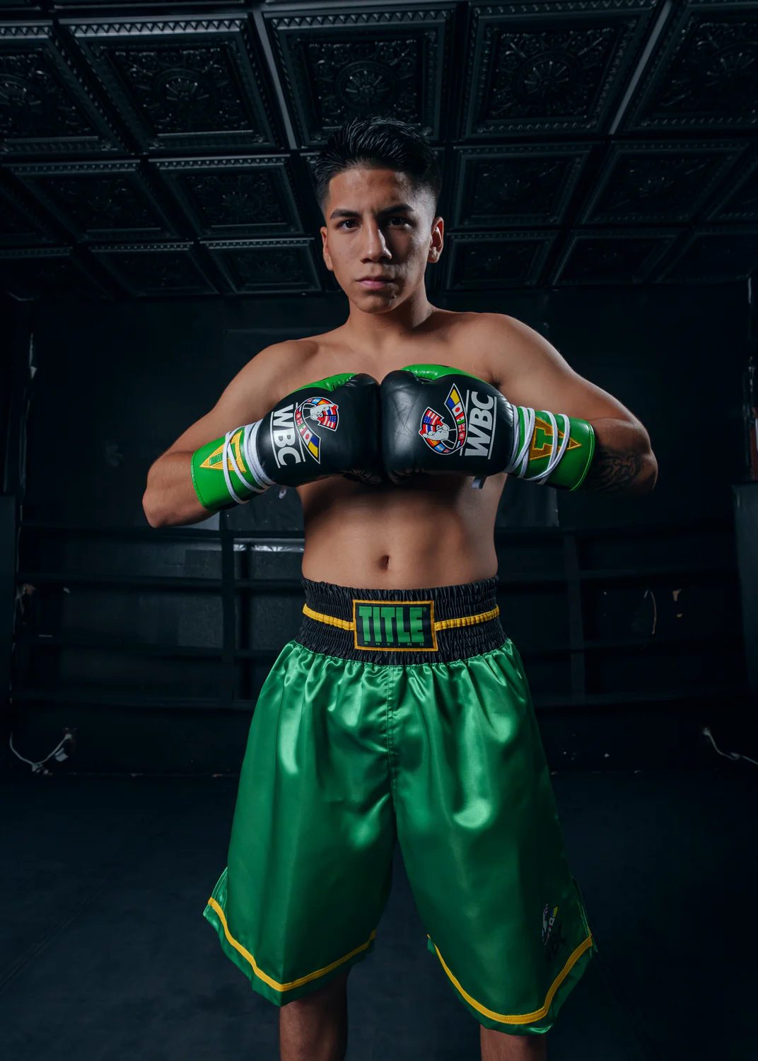 WBC by TITLE Boxing Pro Fight Leather Boxing Gloves