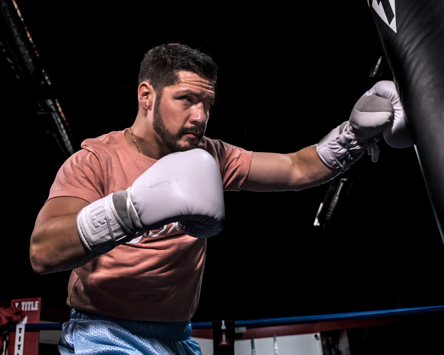 TITLE White Boxing Lace Sparring Boxing Gloves 2.0