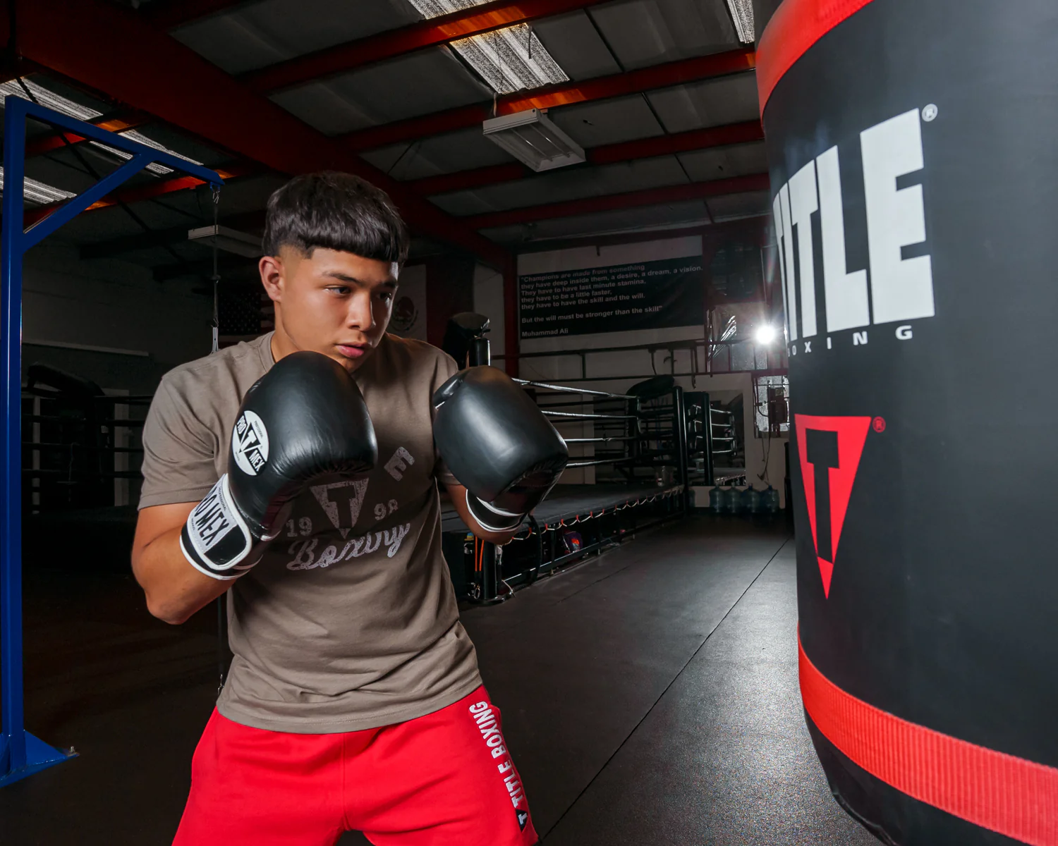 Pro Mex Professional Training Boxing Gloves 3.0