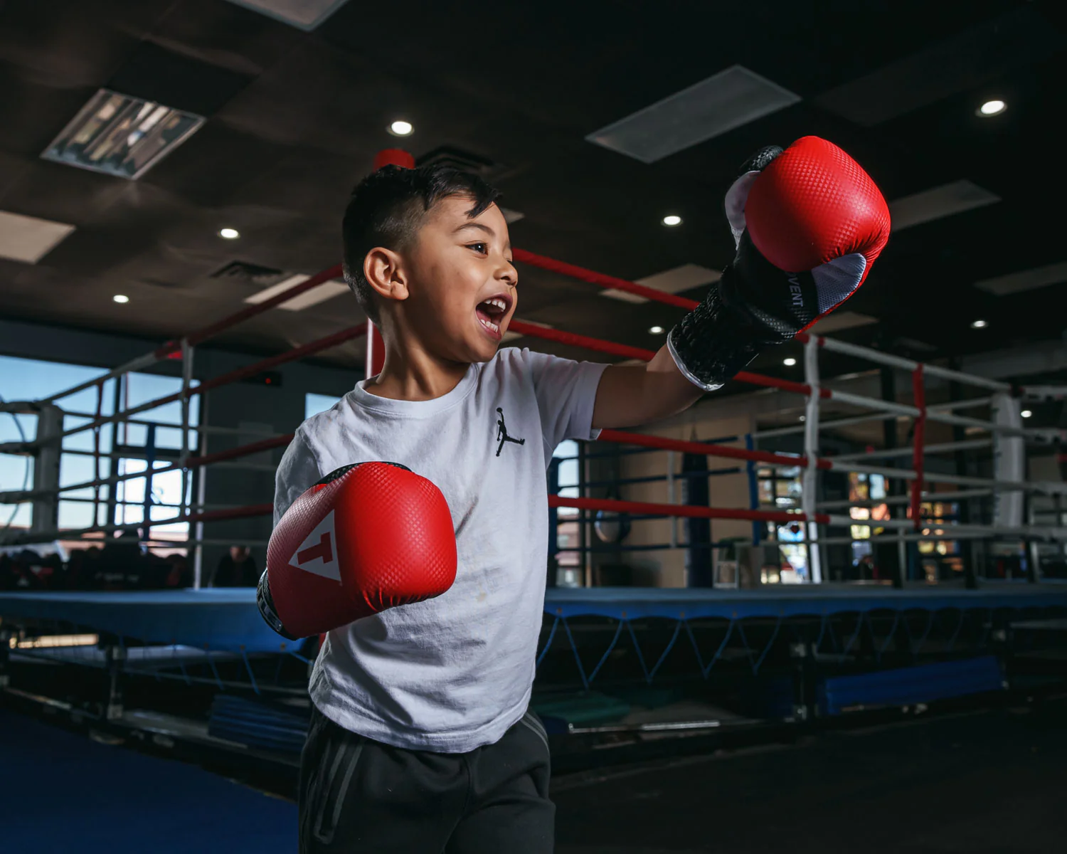 TITLE Boxing Aerovent Youth Boxing Gloves