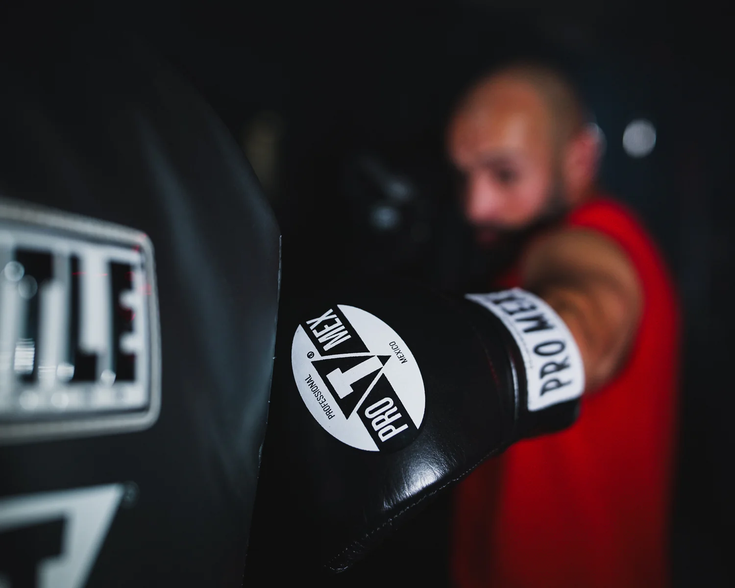 Pro Mex Professional Heavy Bag Boxing Gloves