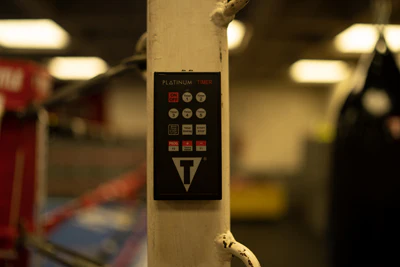 TITLE Platinum Replacement Remote For PFGT