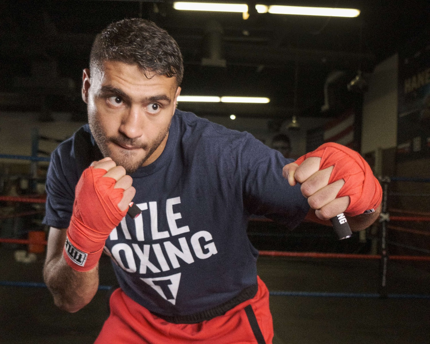 TITLE Boxing Power Puncher's Fist Grips