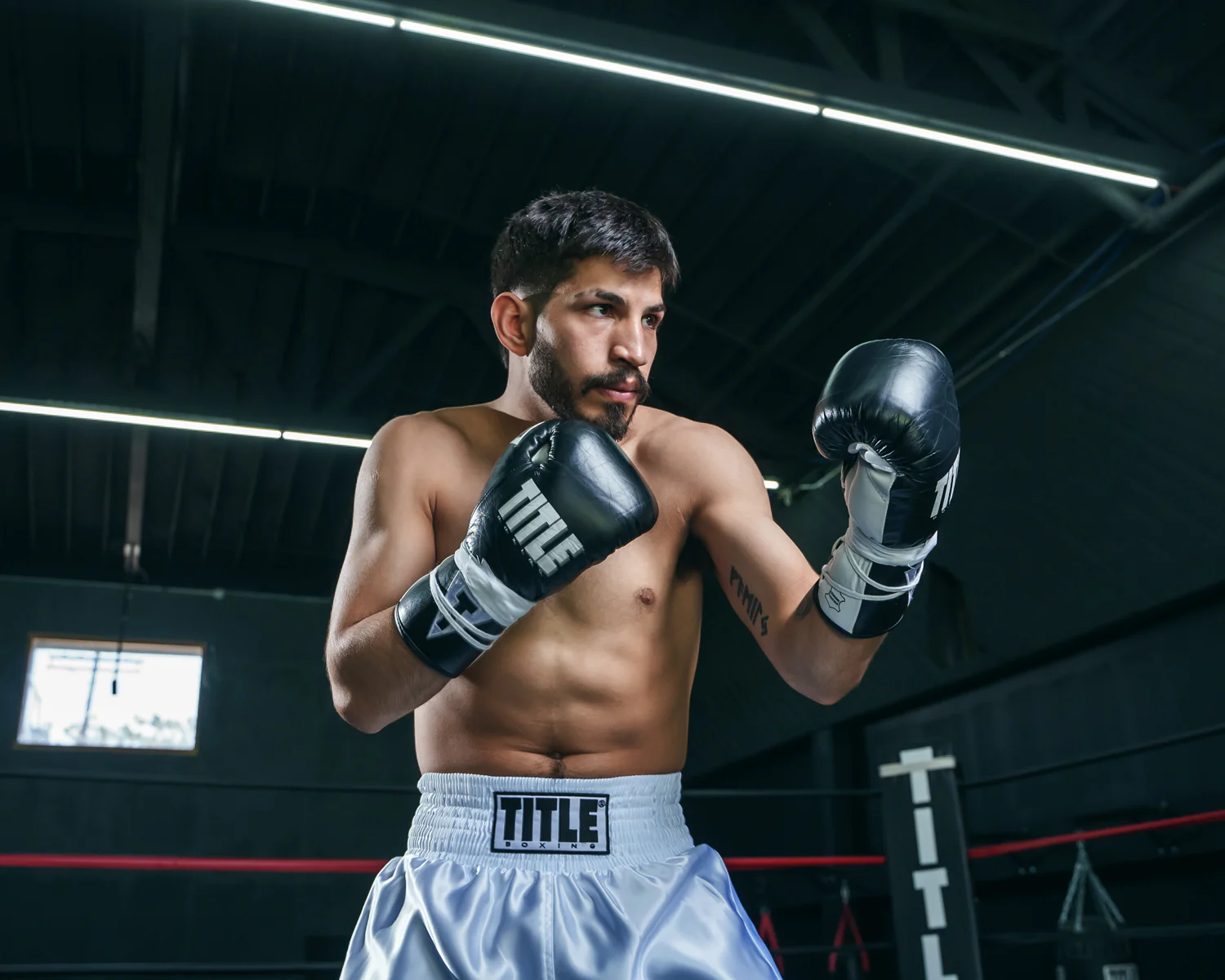 TITLE Boxing Leather Pro Fight Boxing Gloves