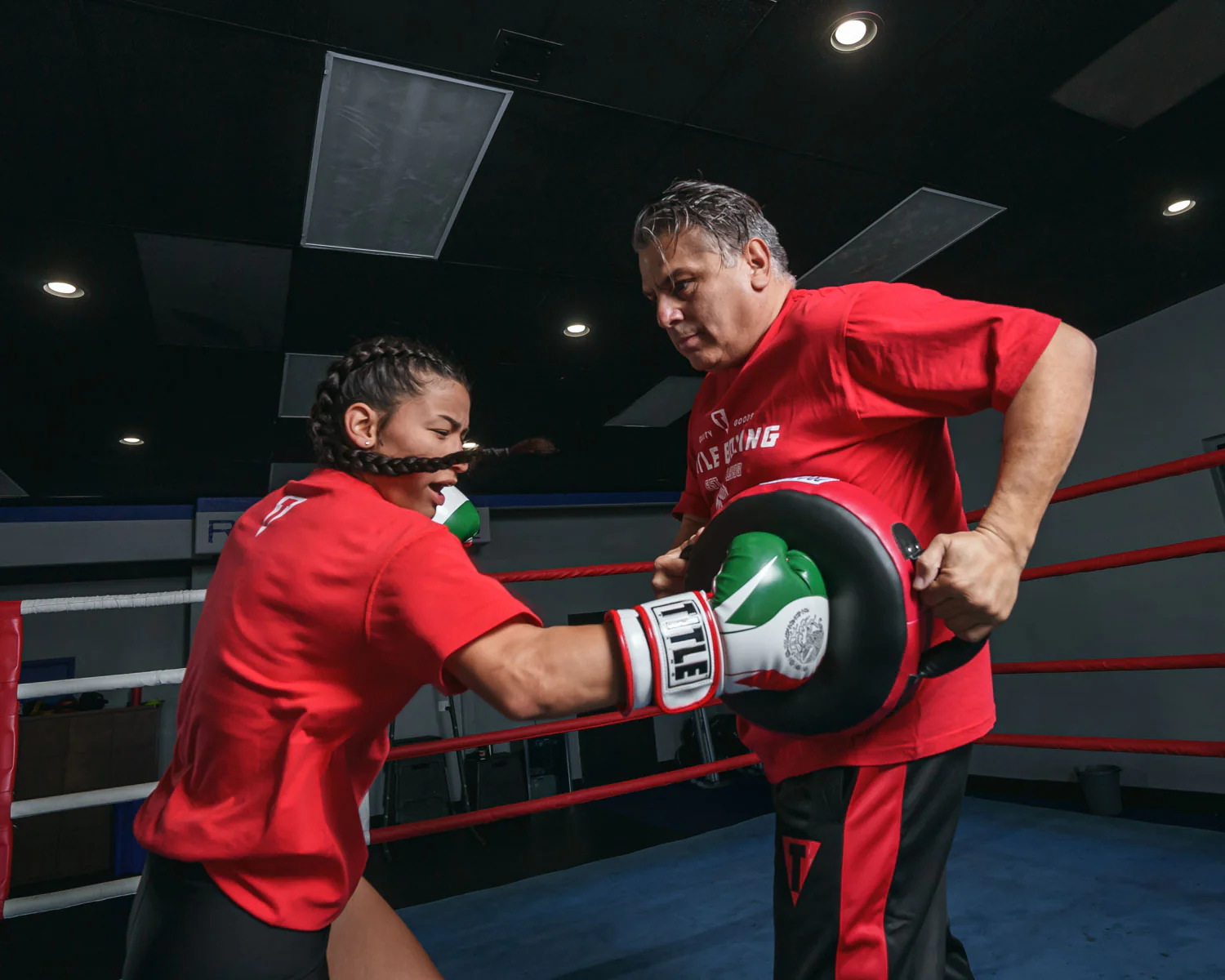 Pro Mex Accuracy Leather Pro Punch Shield 2.0