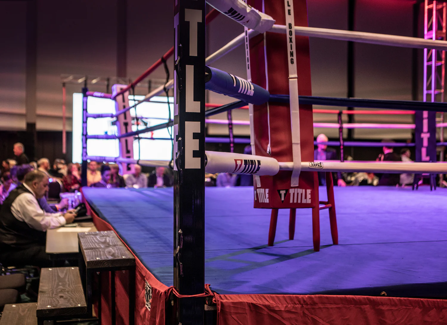 TITLE Boxing Professional Ring Stairs