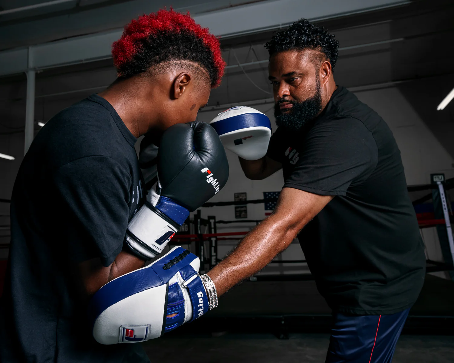 Fighting Force Leather Punch Mitts