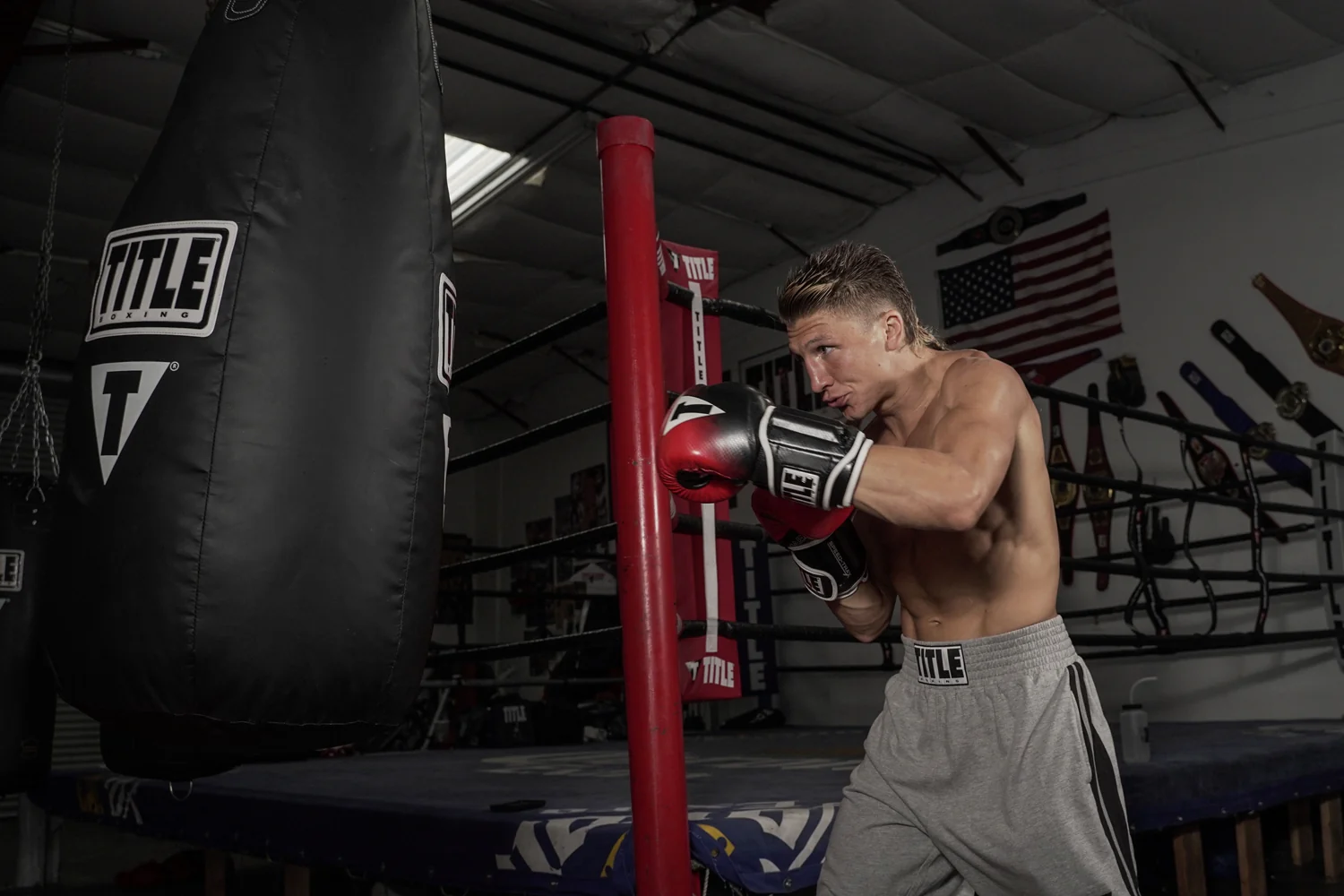 TITLE Boxing Speed-Trax Weighted Bag Boxing Gloves