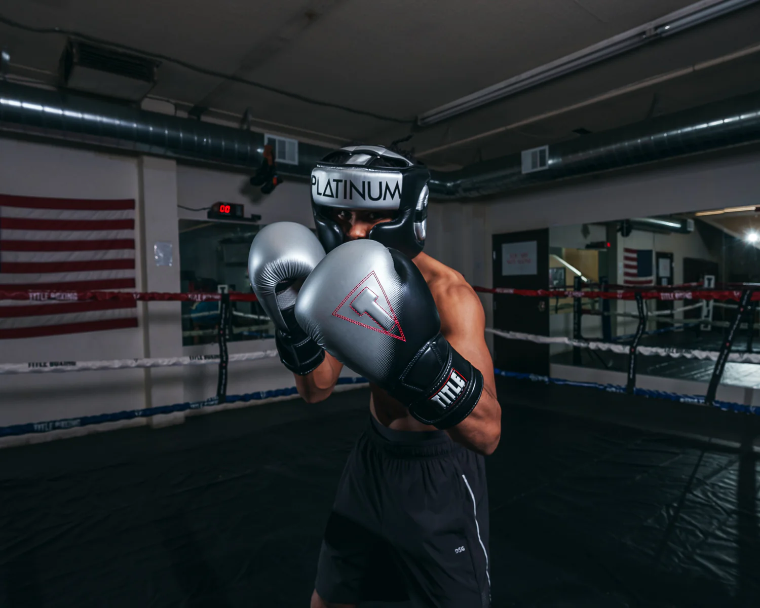 TITLE Platinum Proclaim Boxing Training Boxing Gloves