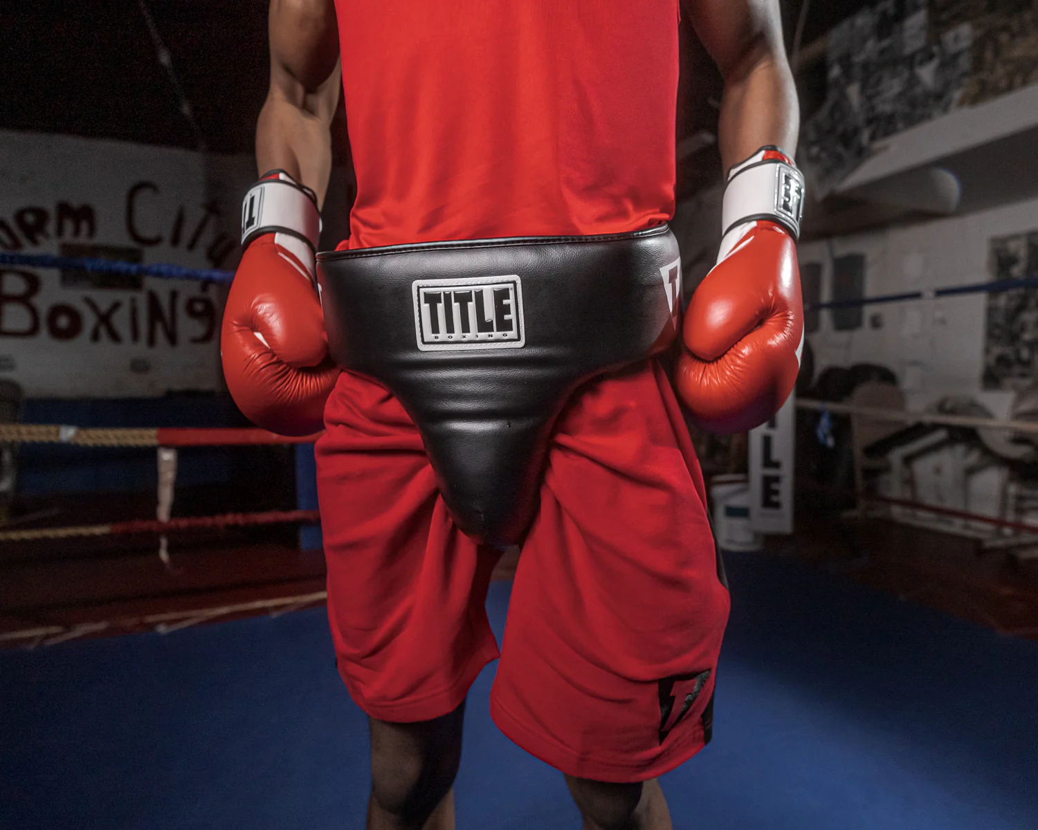 TITLE Boxing Deluxe Groin Protector Plus 2.0