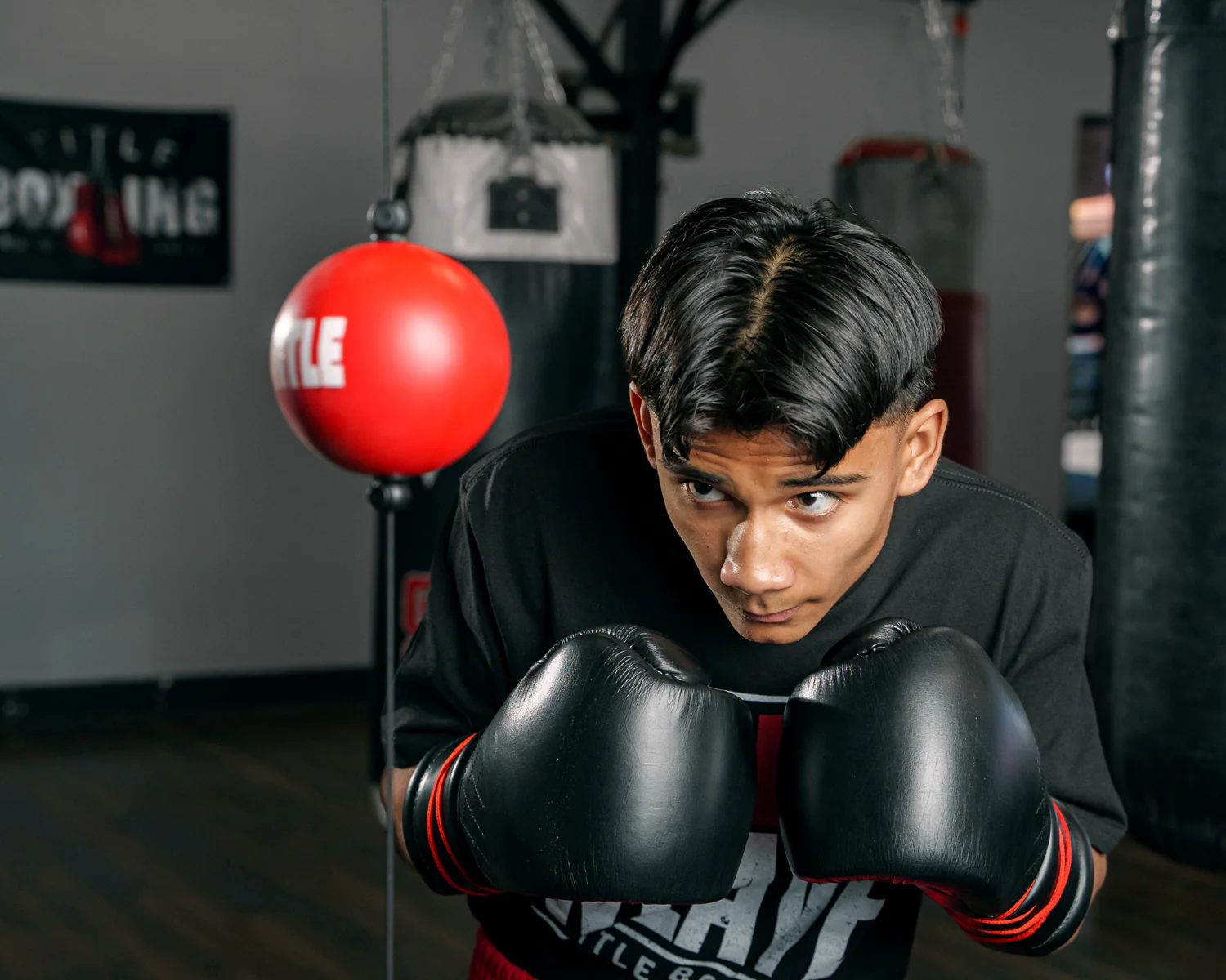 TITLE Boxing Quick Puncher 2.0