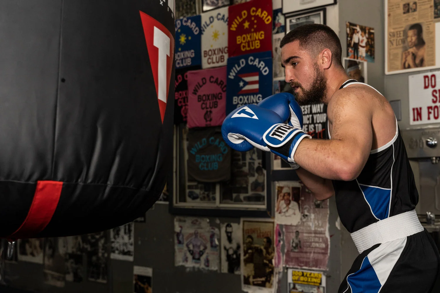 TITLE Boxing Pro Style Leather Training Boxing Gloves 3.0