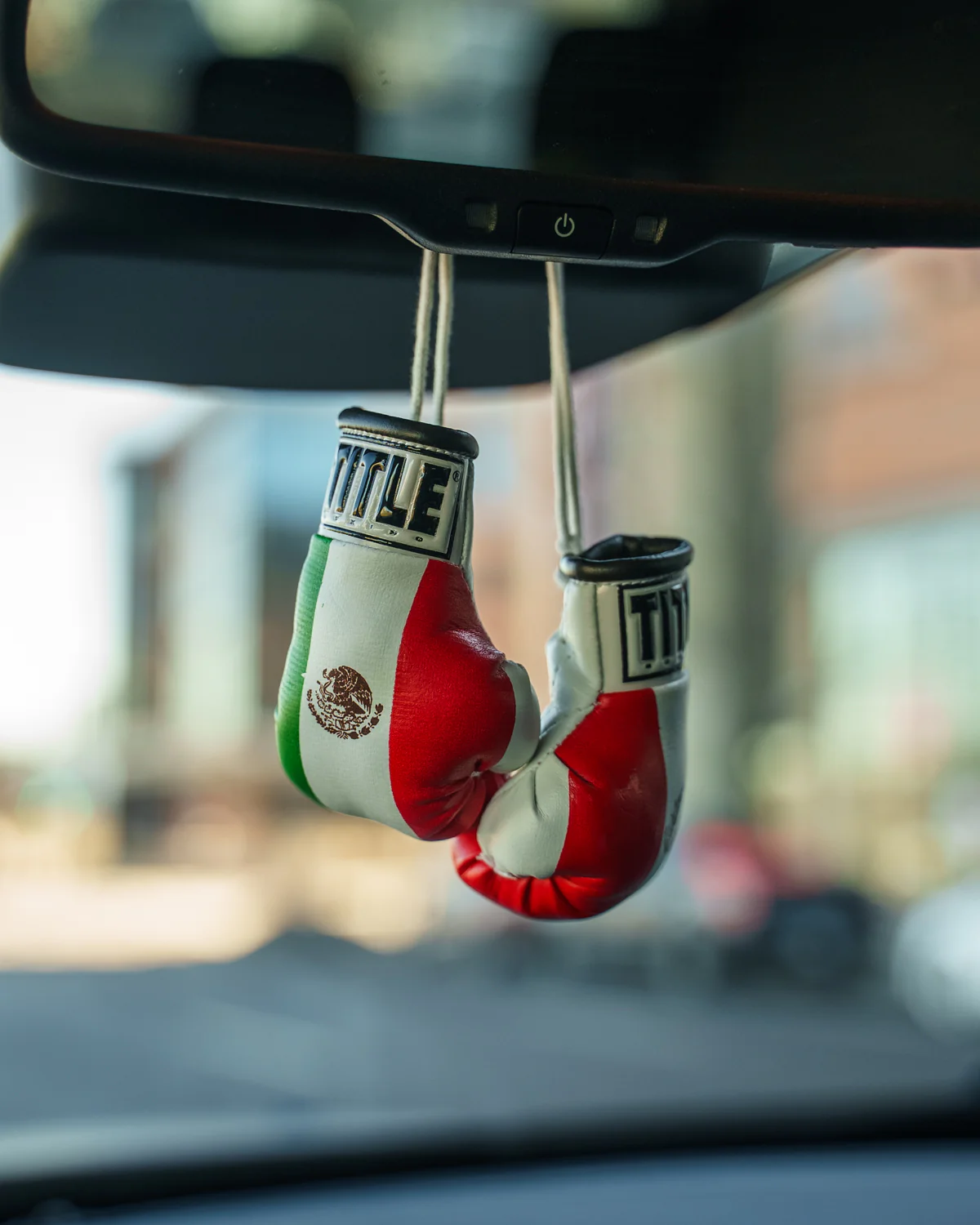 TITLE Boxing 3.5” Mini Boxing Gloves