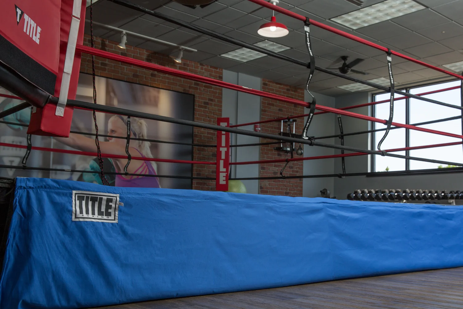 TITLE Boxing Floor Level 