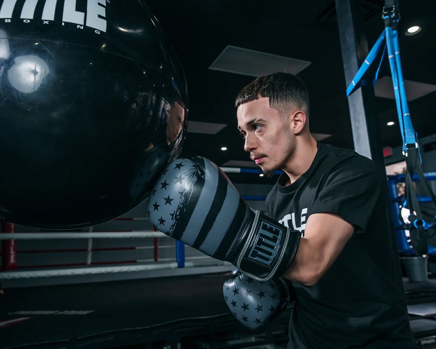 TITLE Boxing Liberty Bag Boxing Gloves