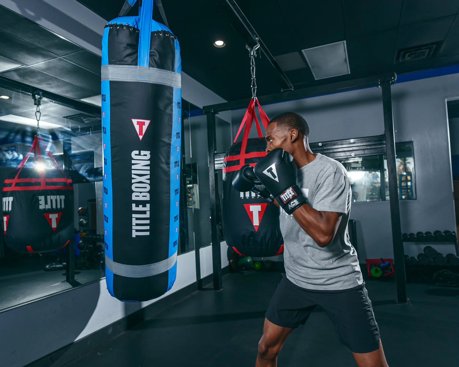 TITLE Platinum ACS Boxing Bag Boxing Gloves 2.0