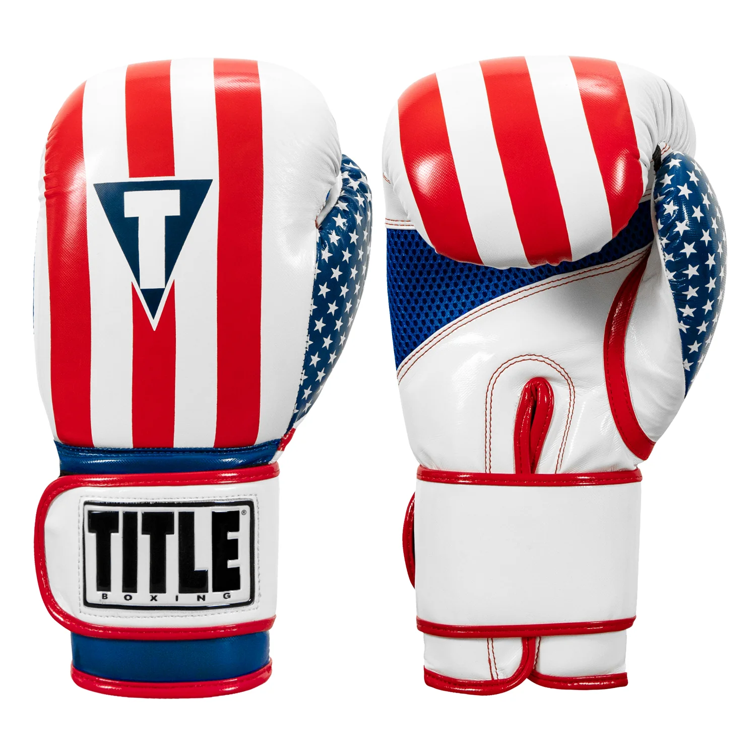 TITLE Boxing Infused Foam Combat USA Training Boxing Gloves