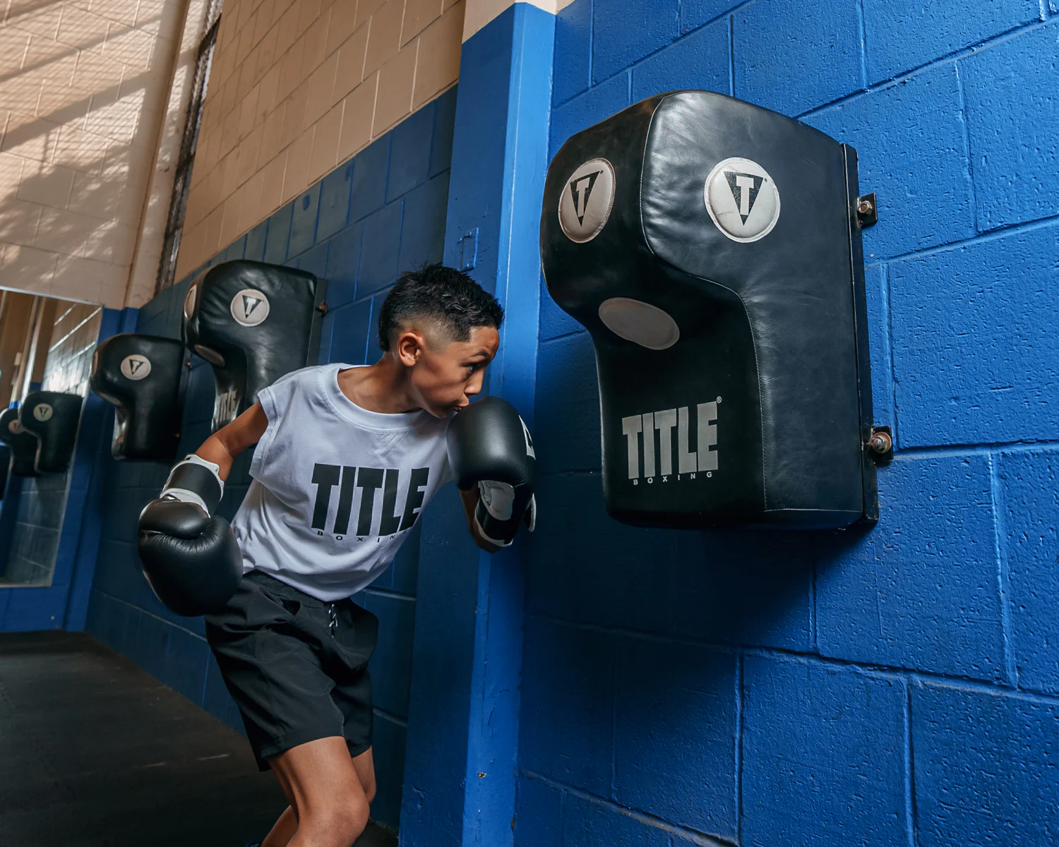TITLE Boxing Wall Mount Menace Training Bag