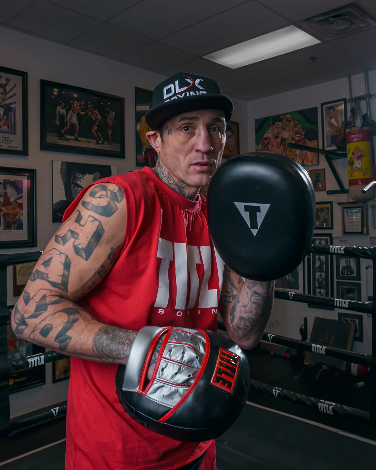 TITLE Boxing Valiant Punch Mitts