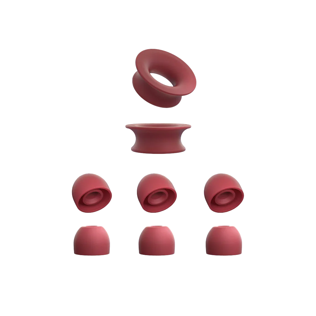 Quiet 1 Ear Tips + Loop Mute