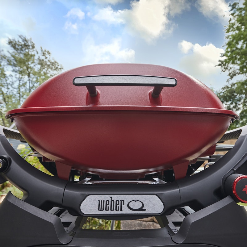 Q 2800N+ Gas Grill (Liquid Propane)