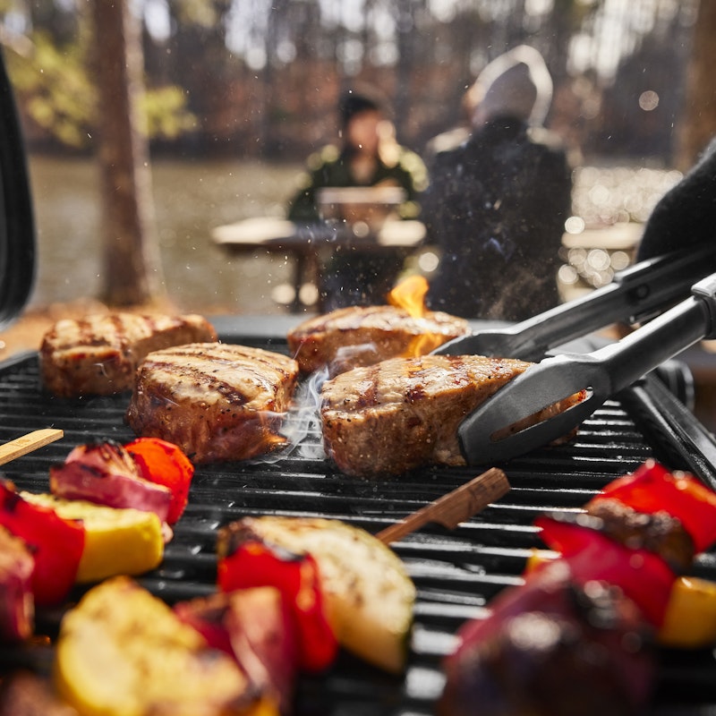 Weber Traveler® Compact Portable Gas Grill