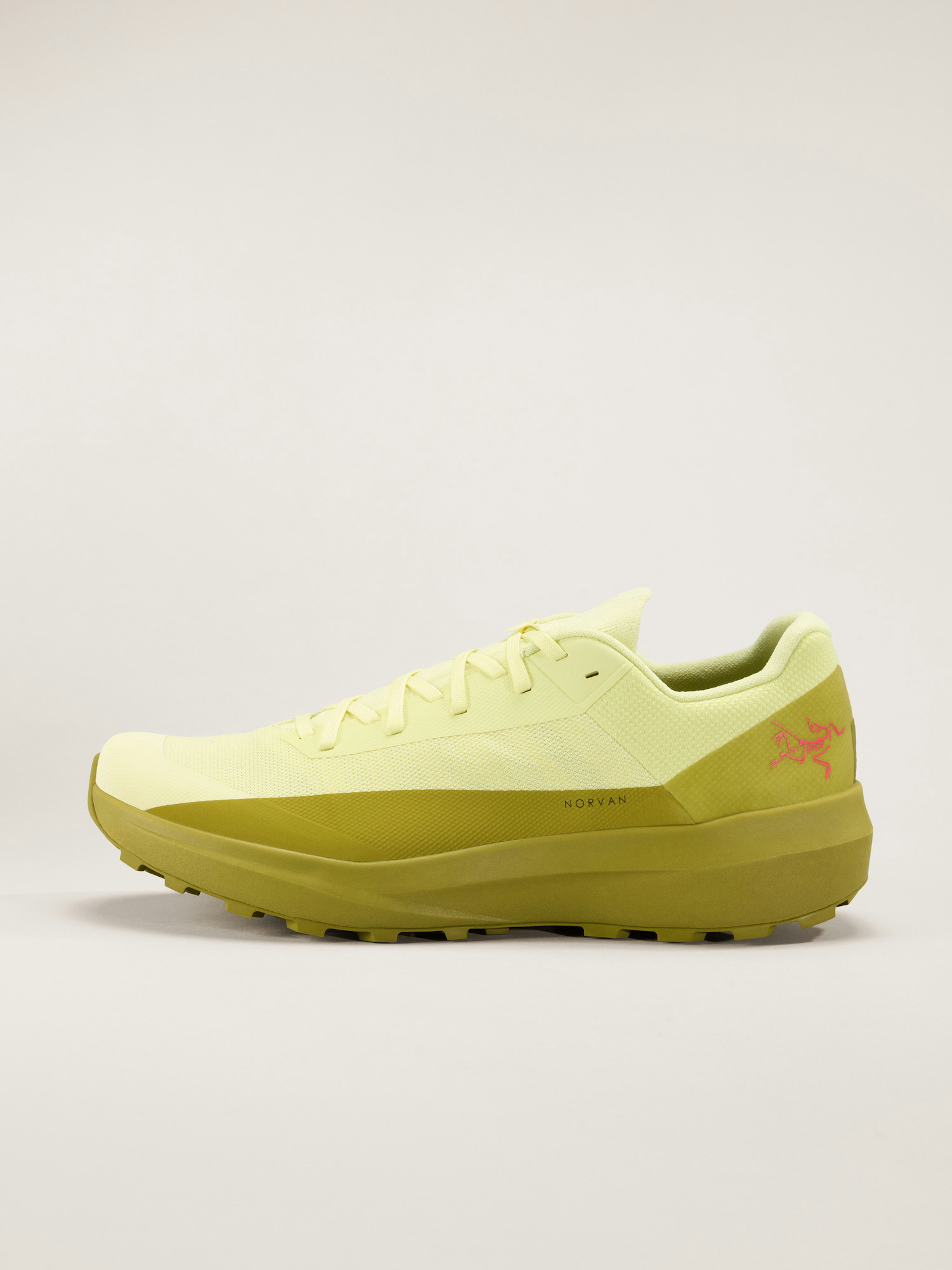 Norvan LD 4 Shoe Men's