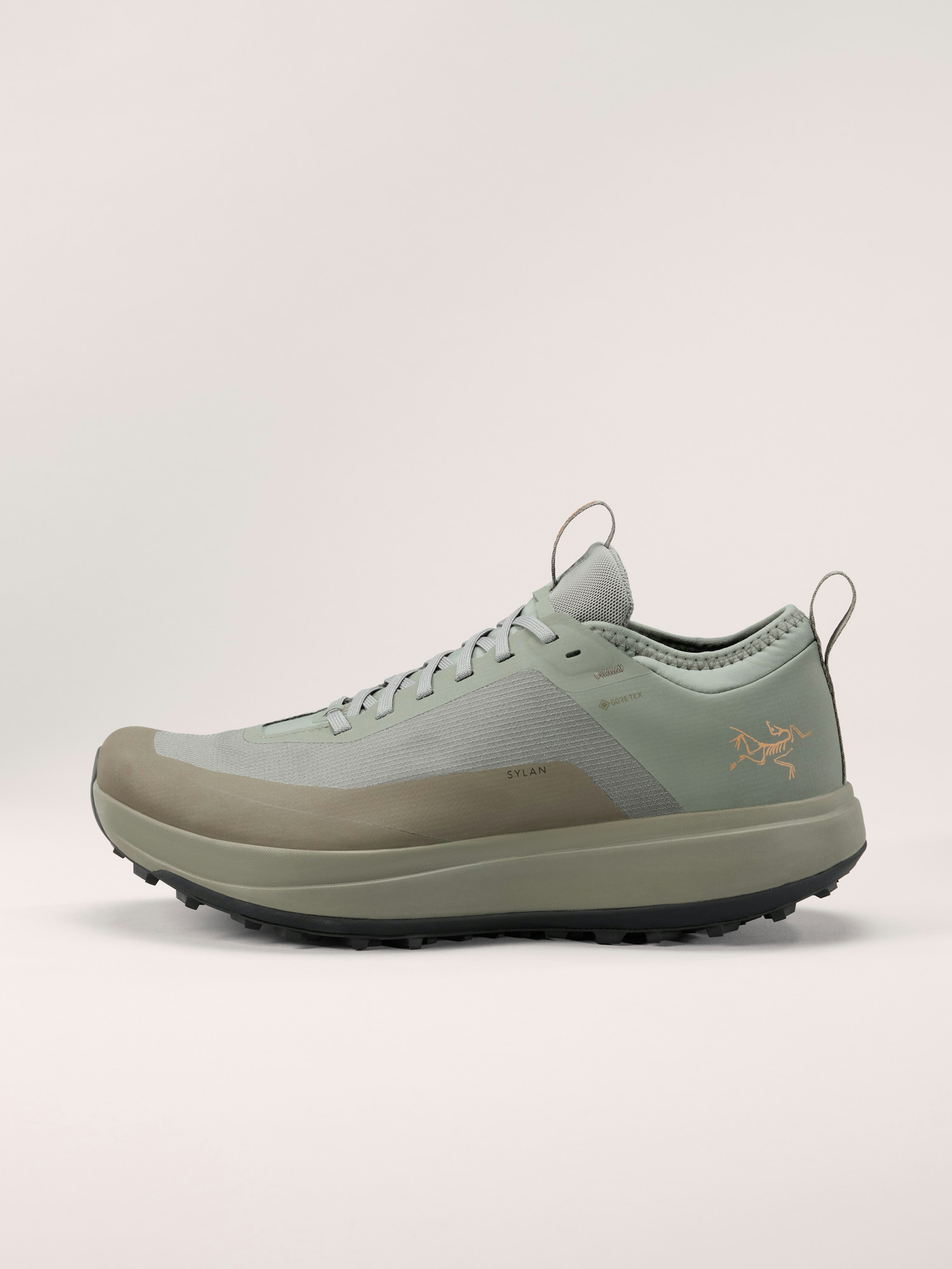 Sylan GTX Shoe Men's