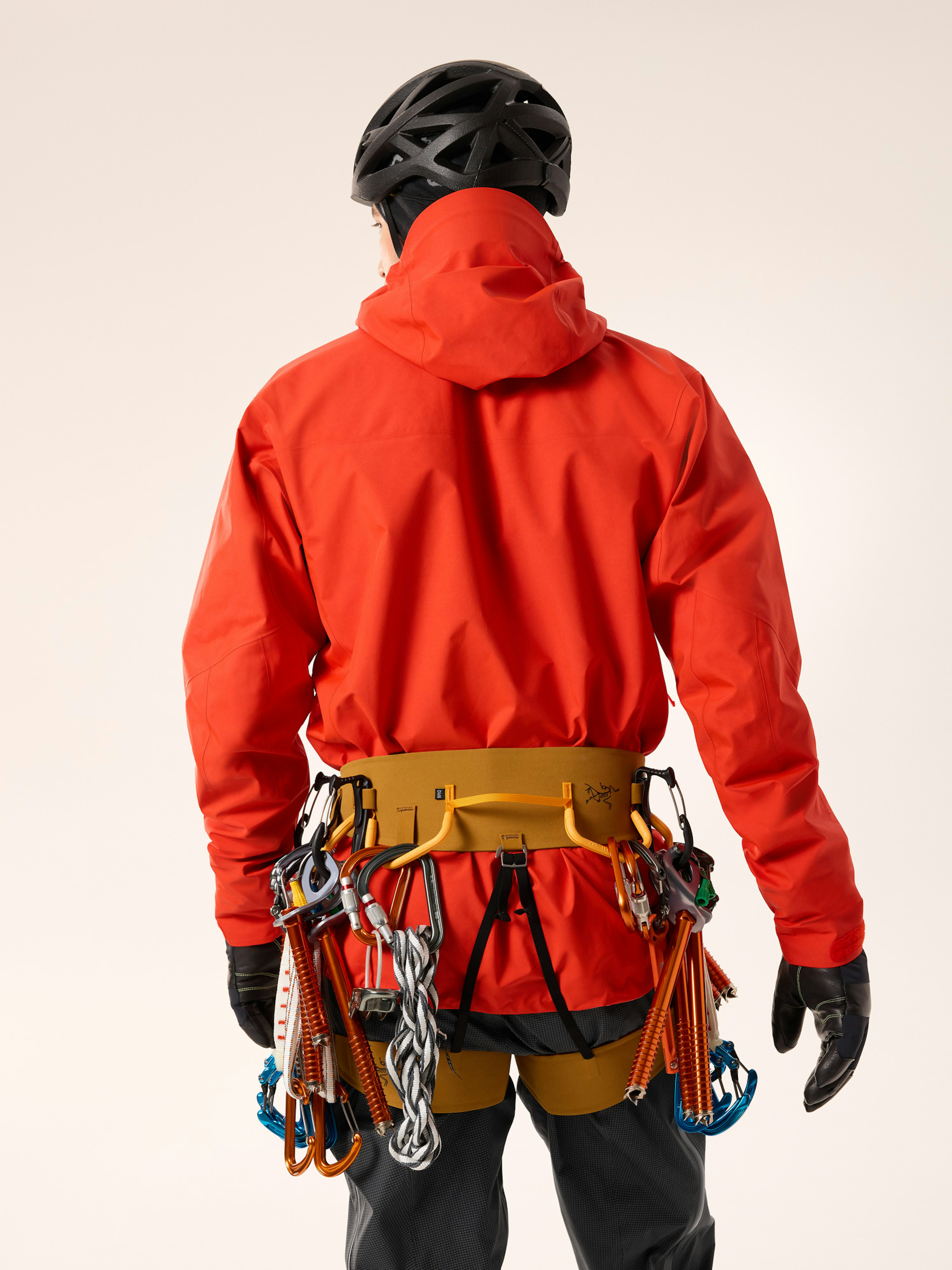 AR-395a Harness Men's