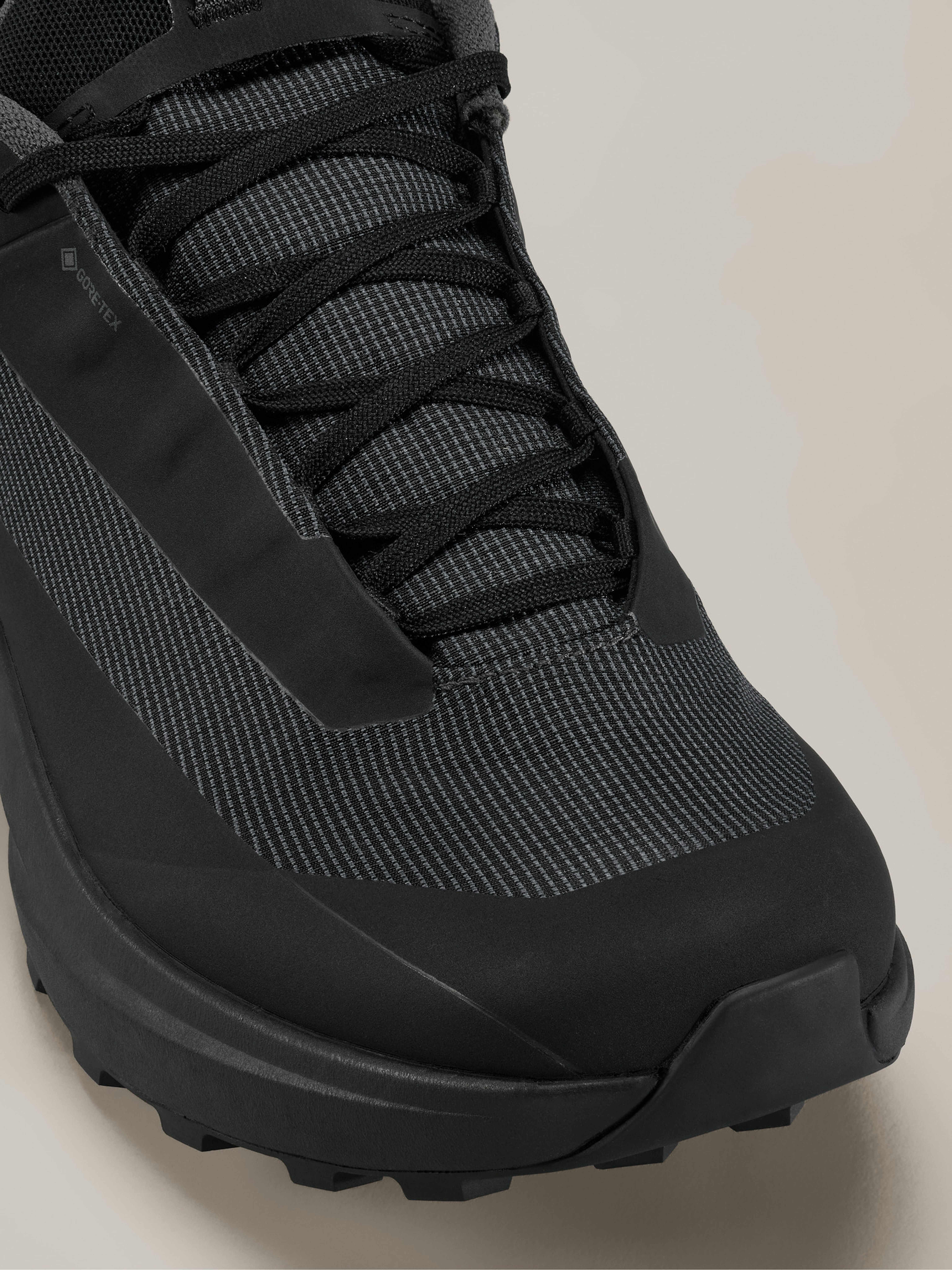 Norvan LD 4 GTX Shoe Women's