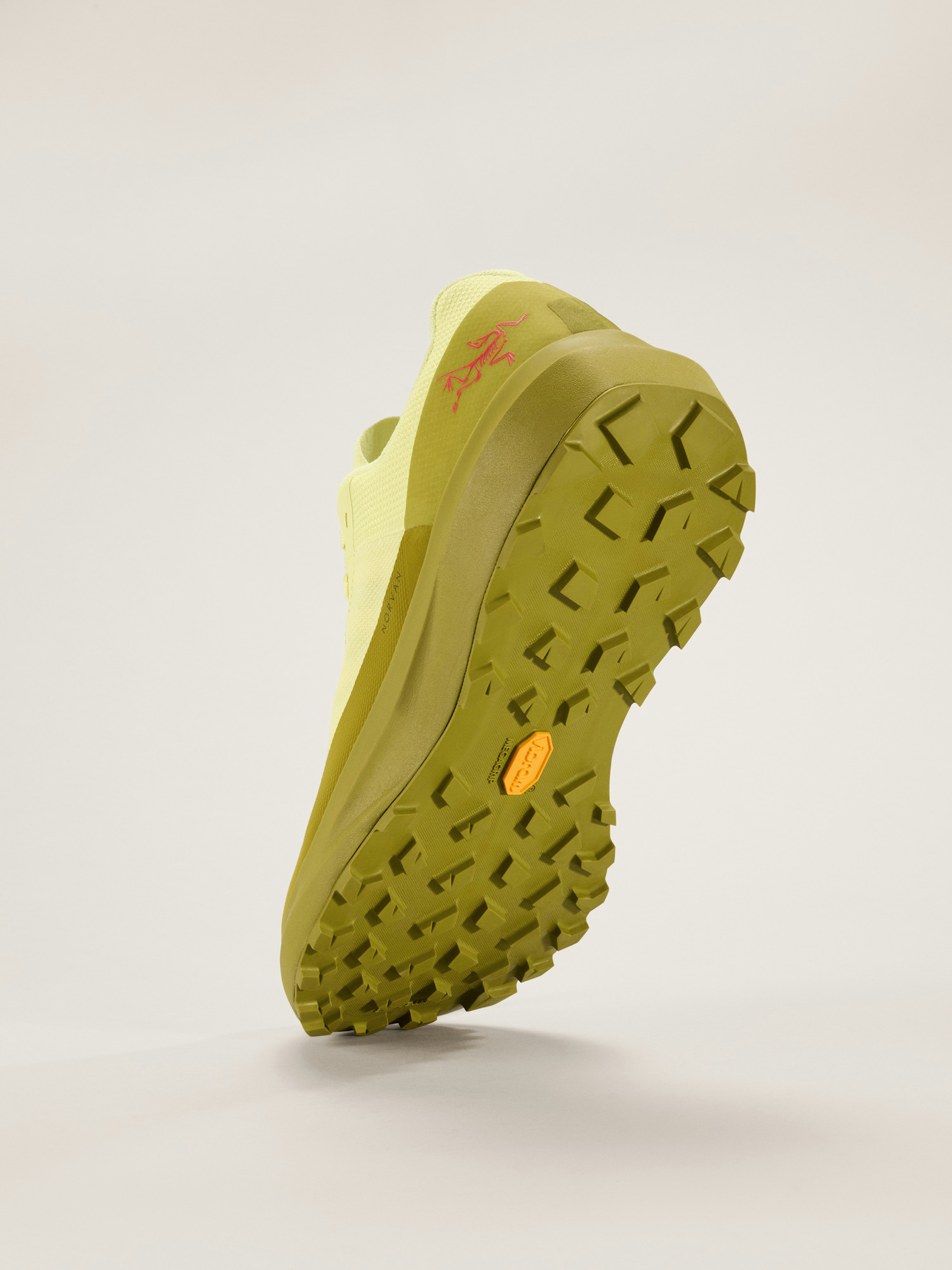 Norvan LD 4 Shoe Men's
