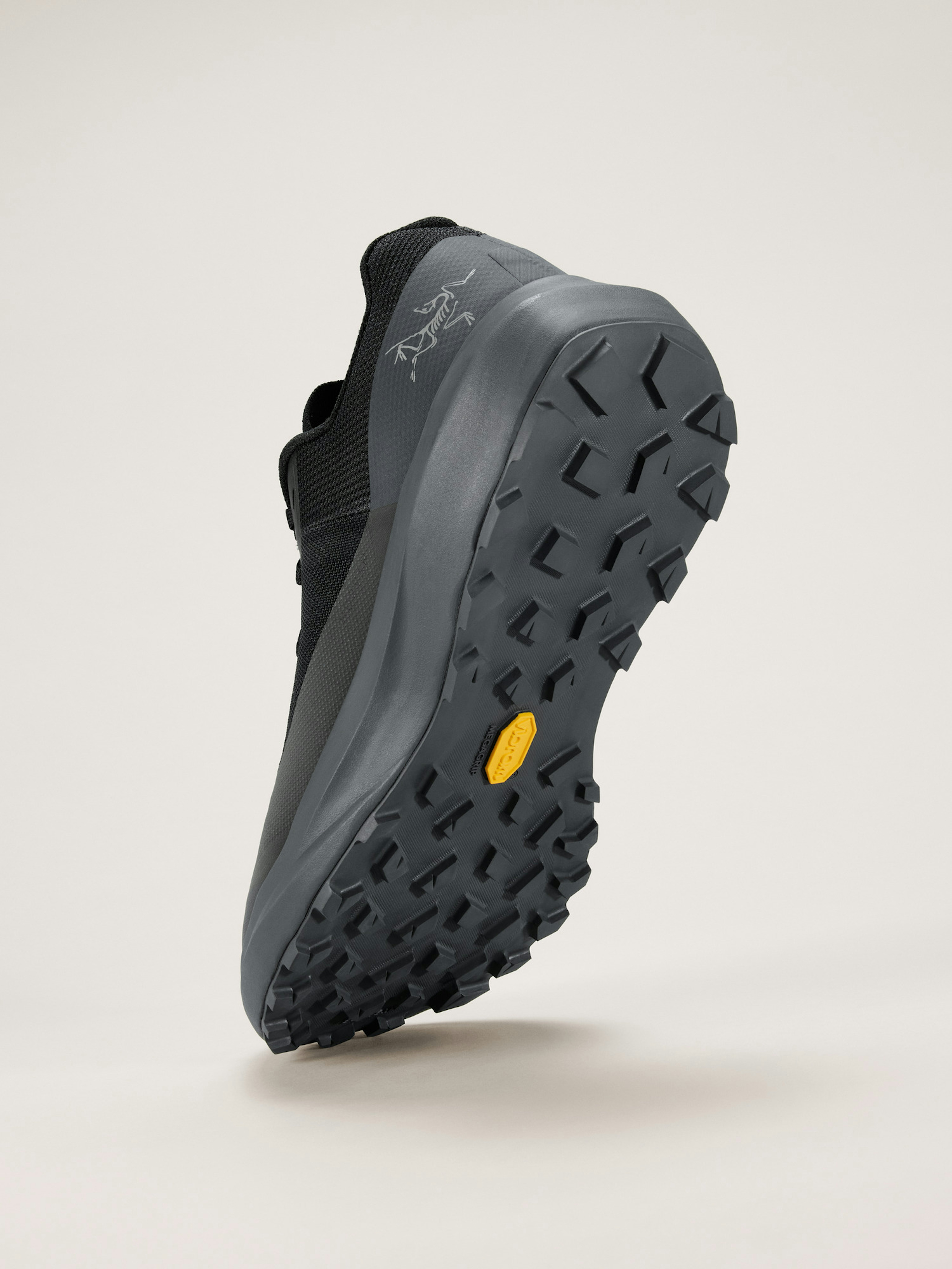 Norvan LD 4 Shoe Men's