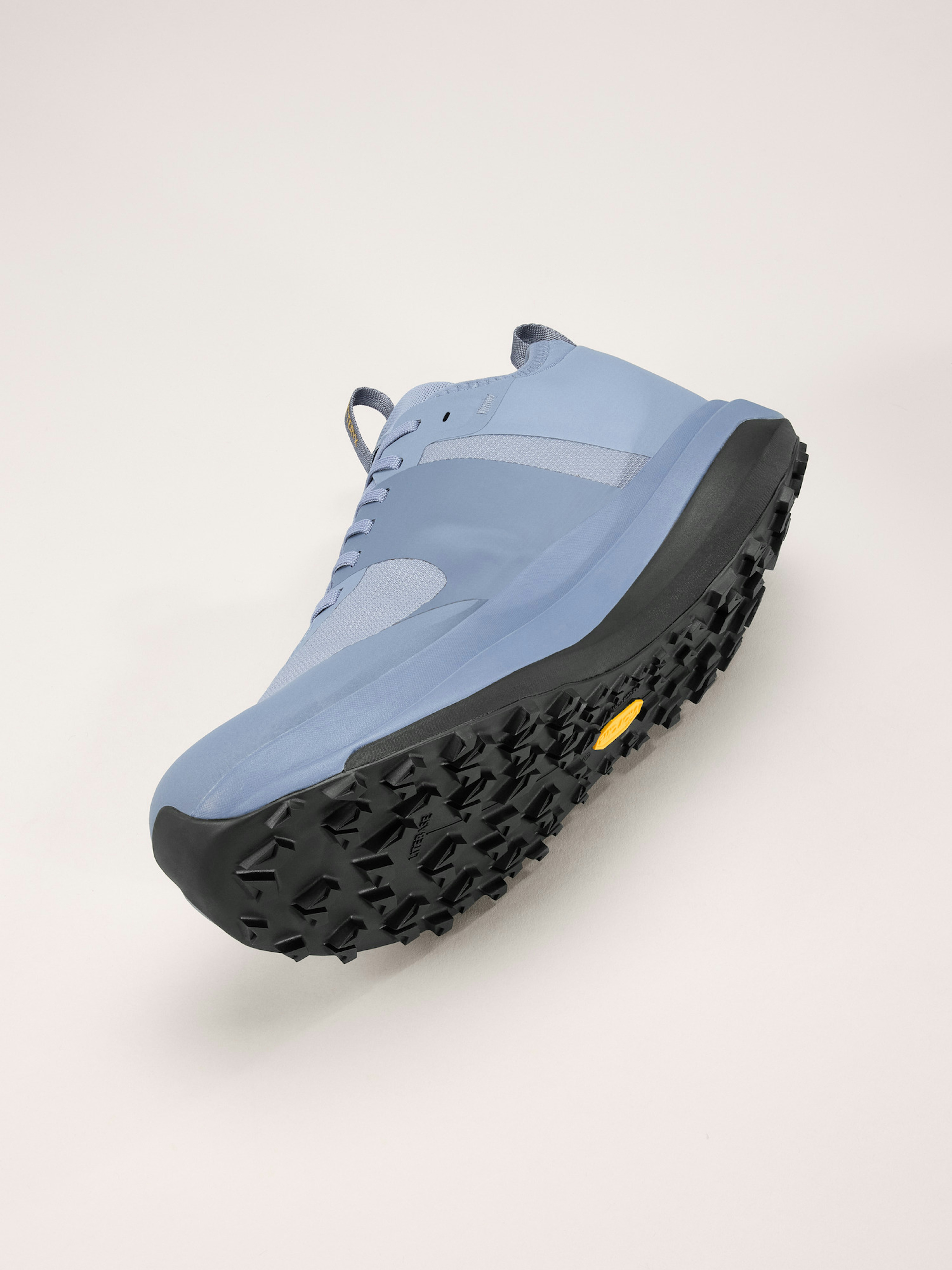 Sylan GTX Shoe Men's
