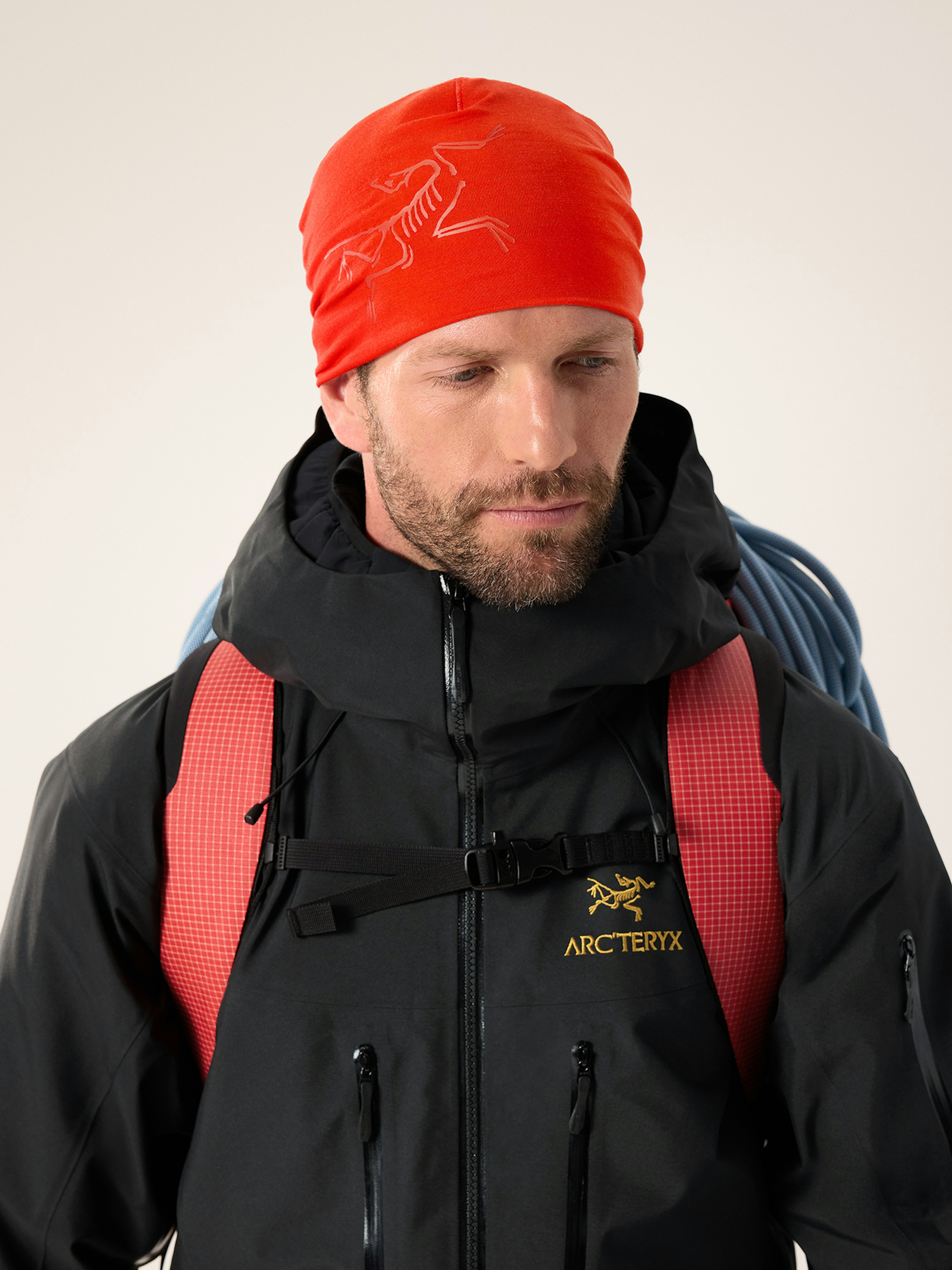 Satoro Merino Toque