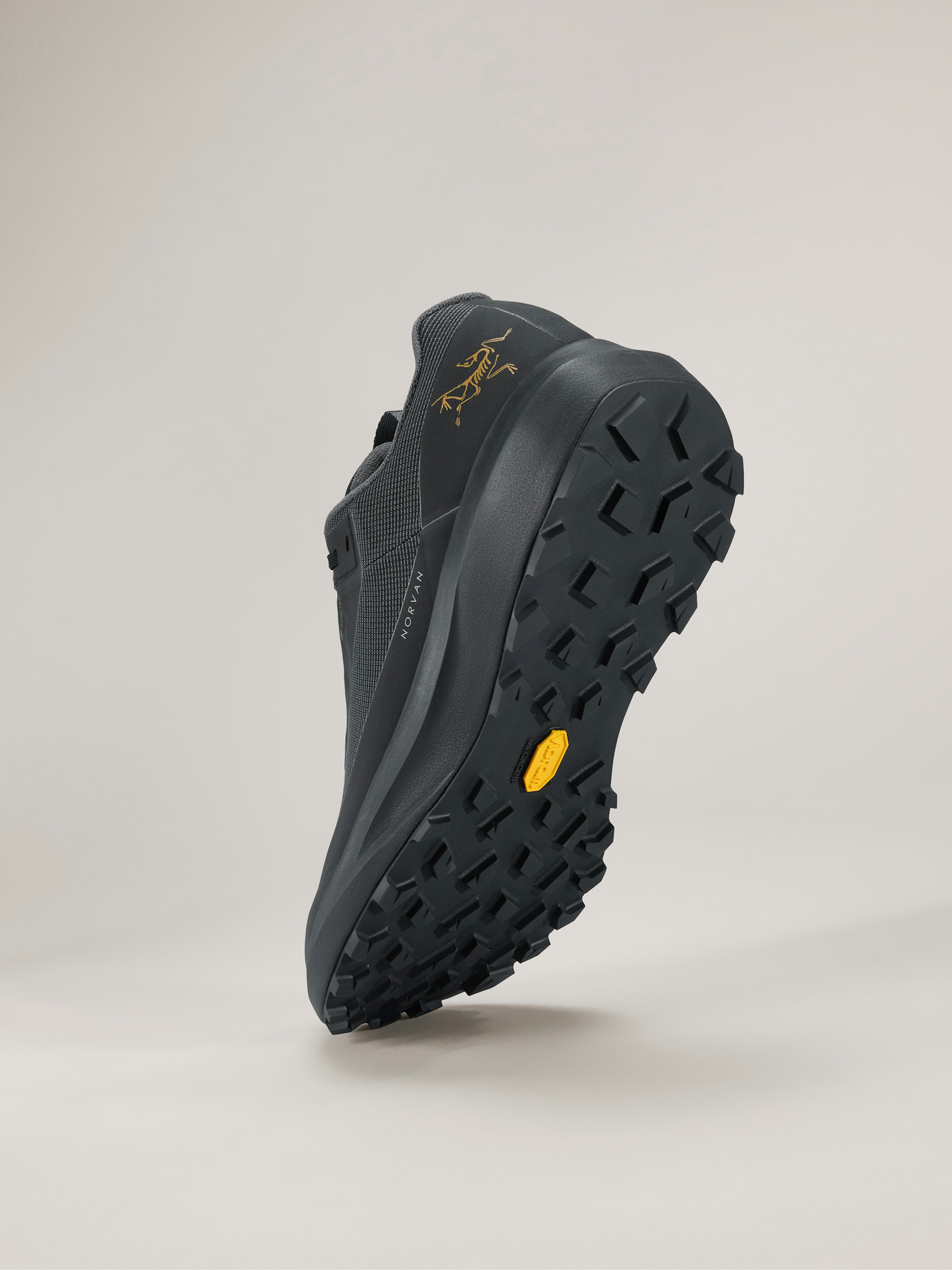 Norvan LD 4 GTX Shoe Women's