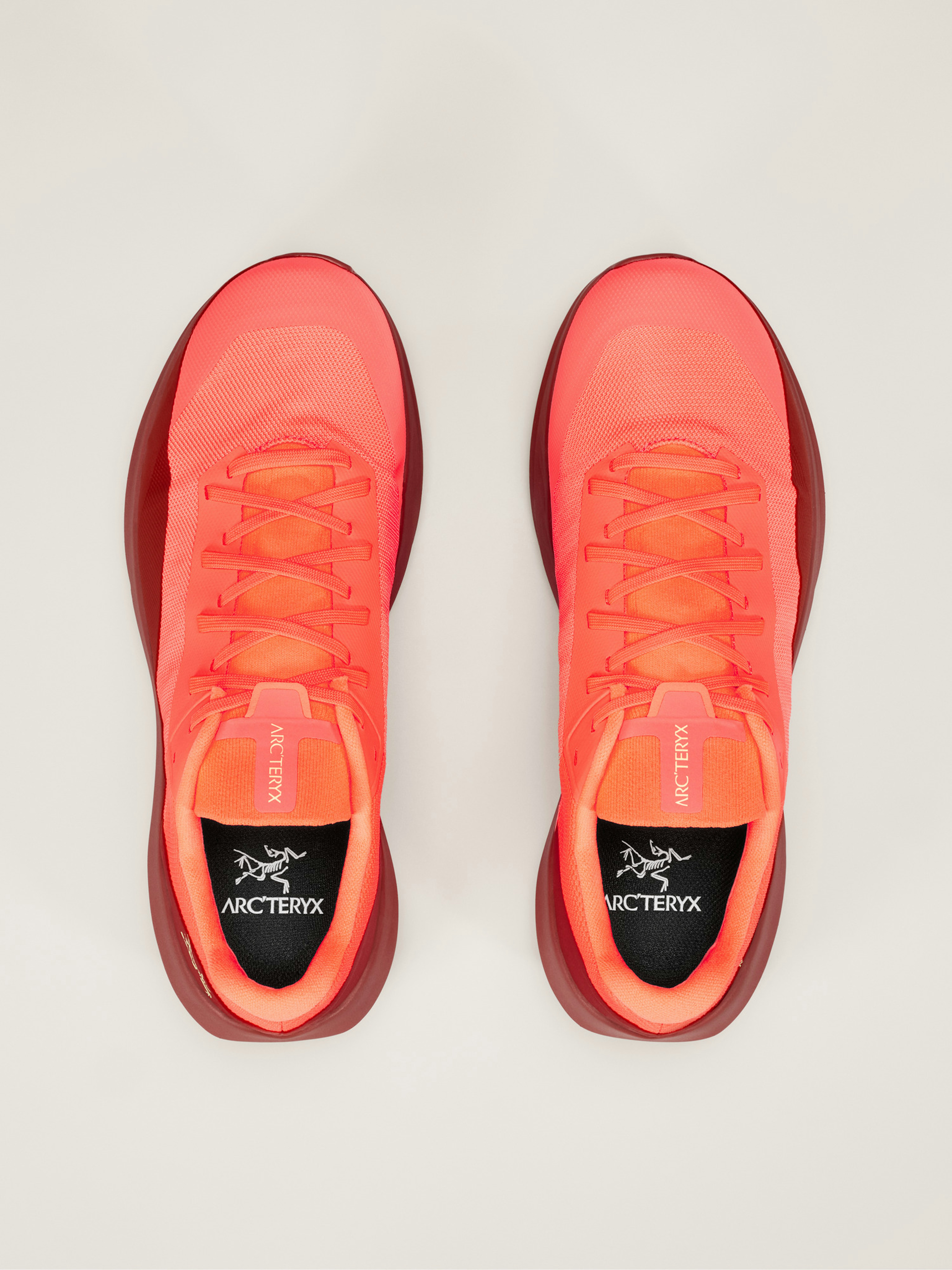 Norvan LD 4 Shoe Men's