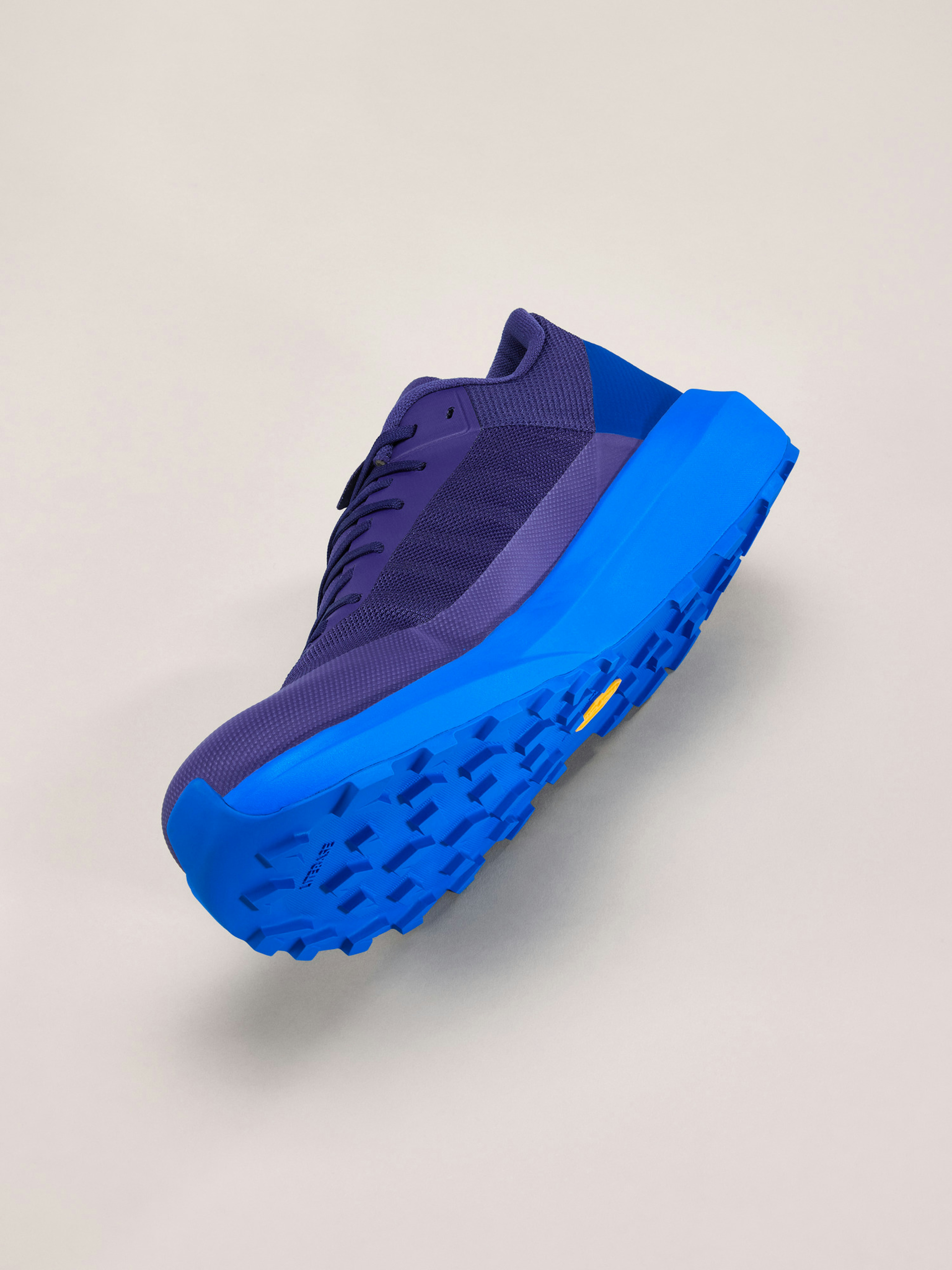 Norvan LD 4 Shoe Men's