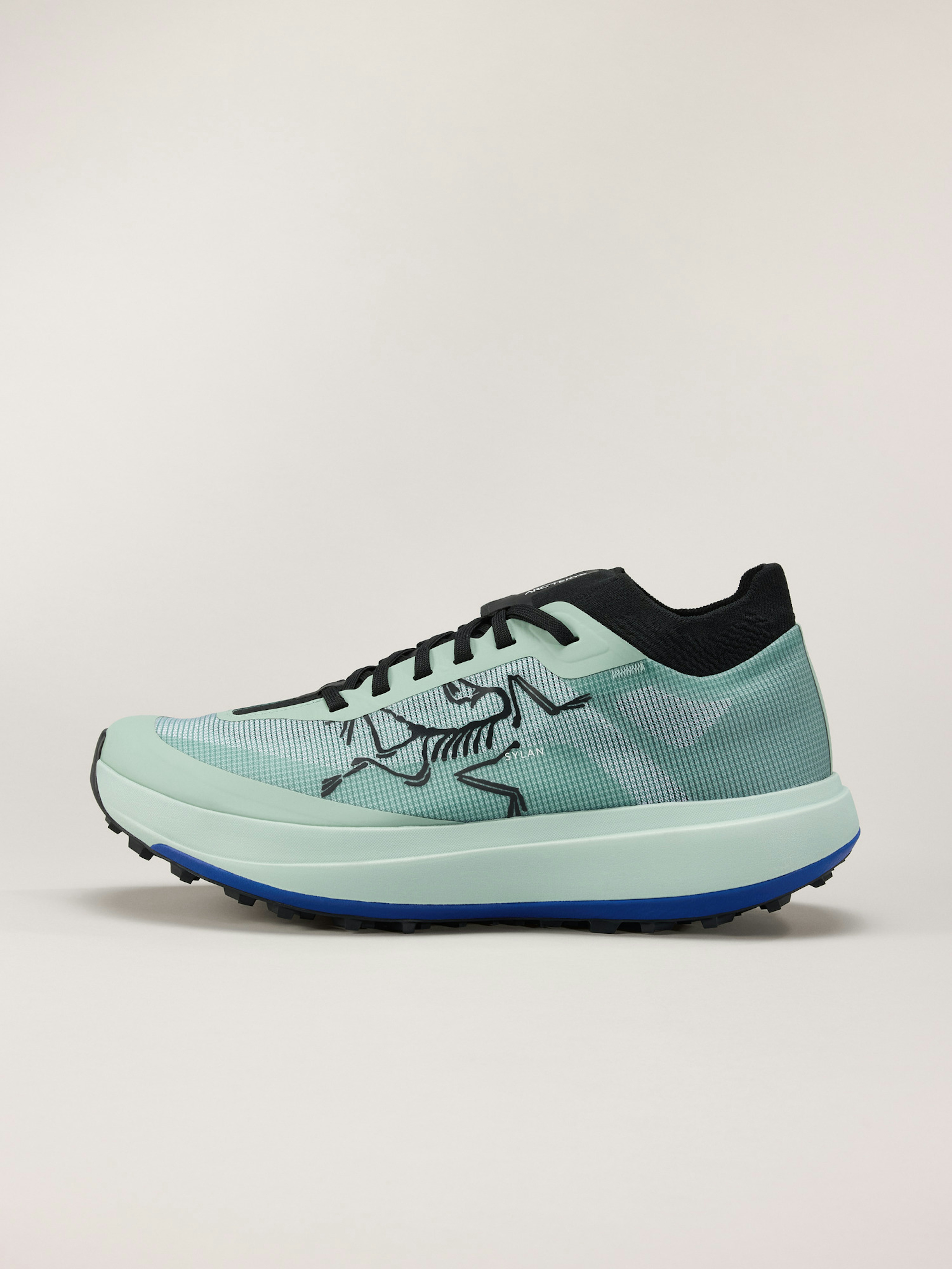 Sylan Pro Shoe Men's