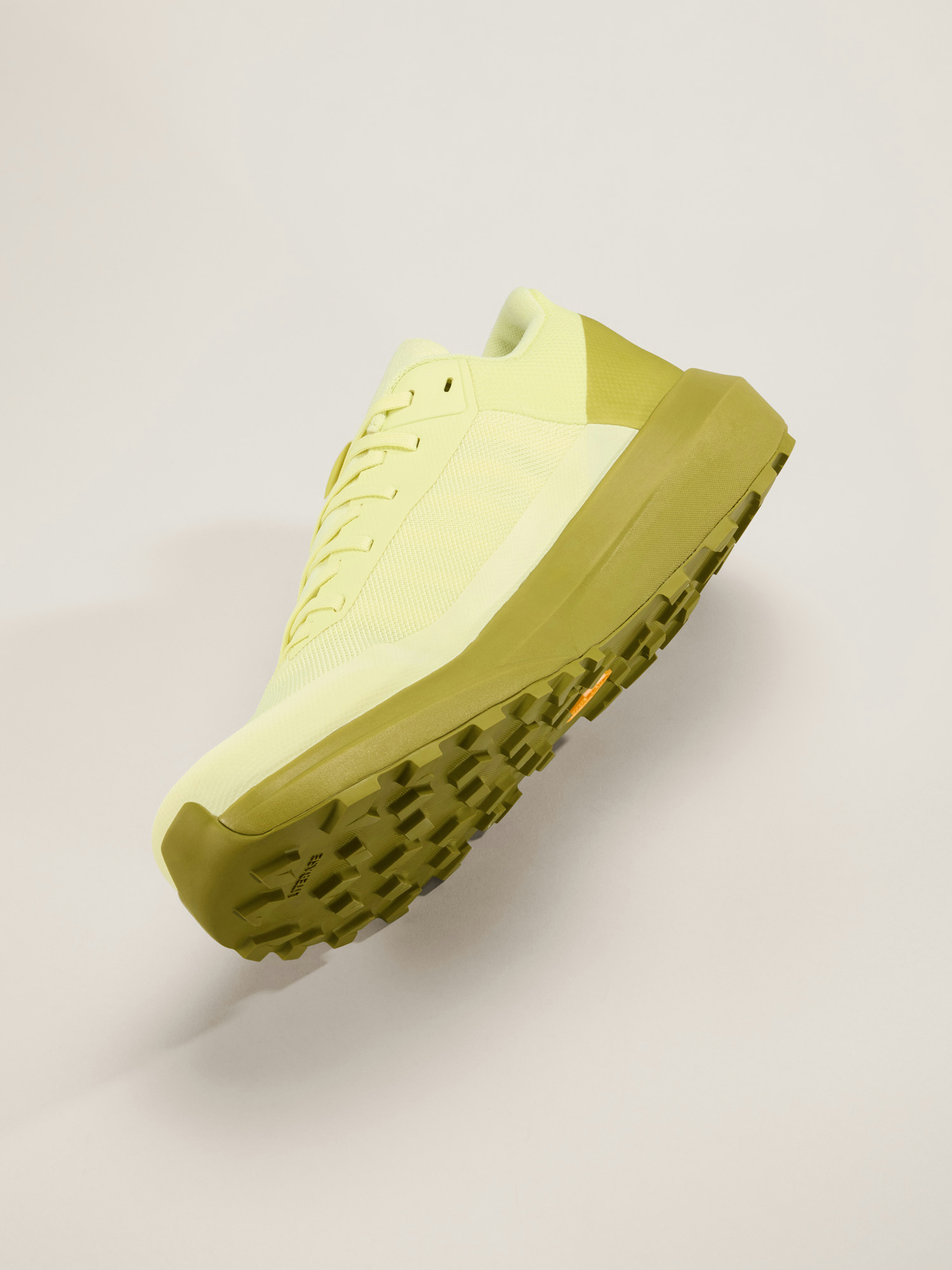 Norvan LD 4 Shoe Men's